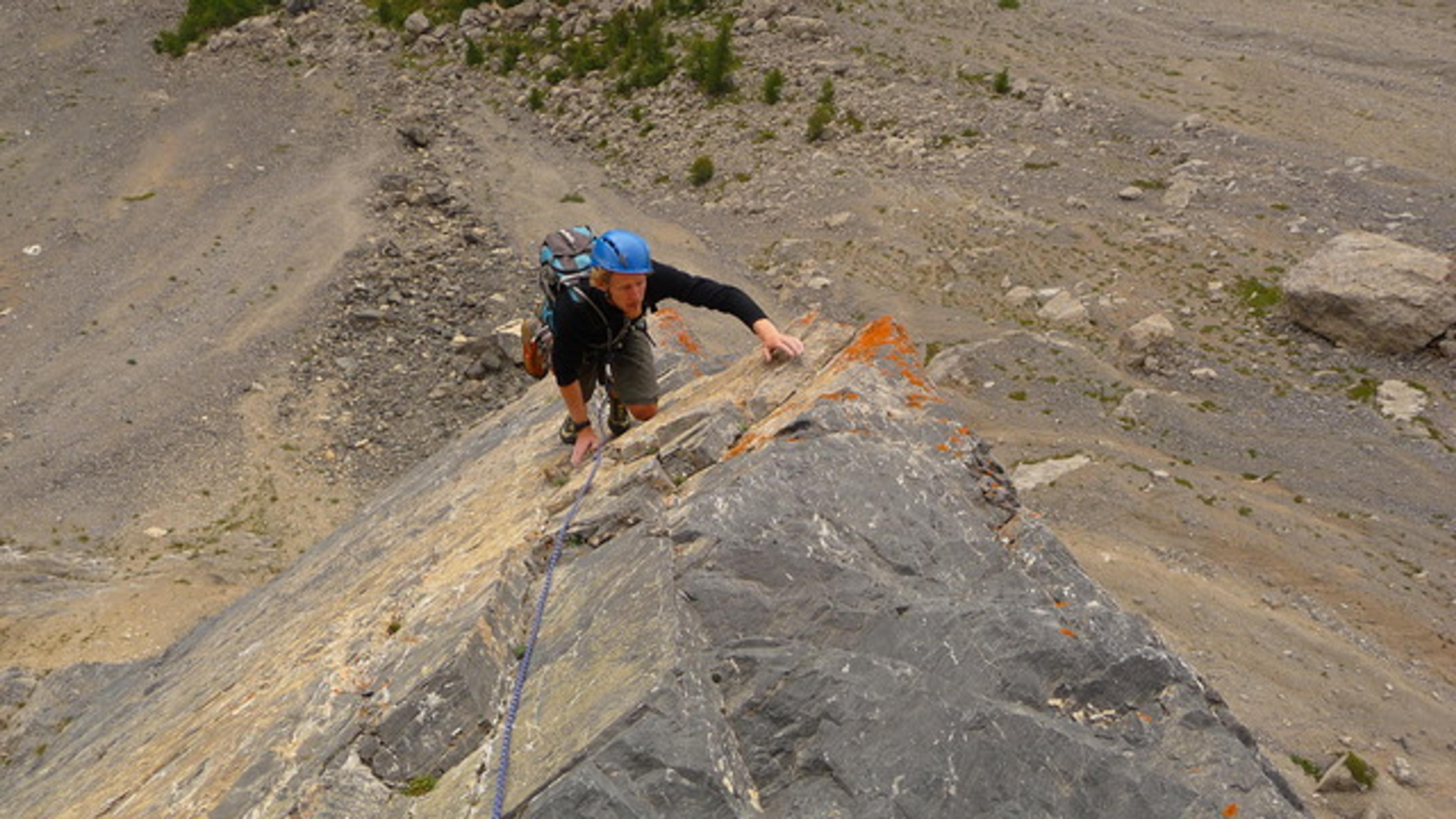 Tenailles de Montbrison - Vol et Volupté - Et un bout d'arête