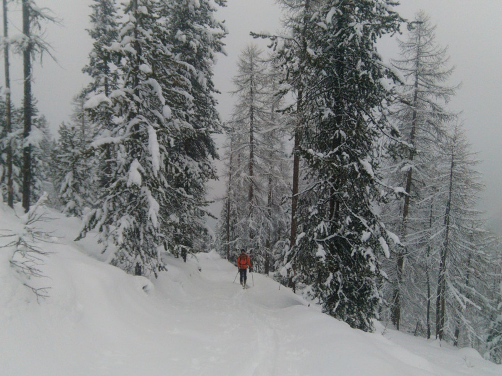 Ski de rando, mission sauvetage! — photo 6