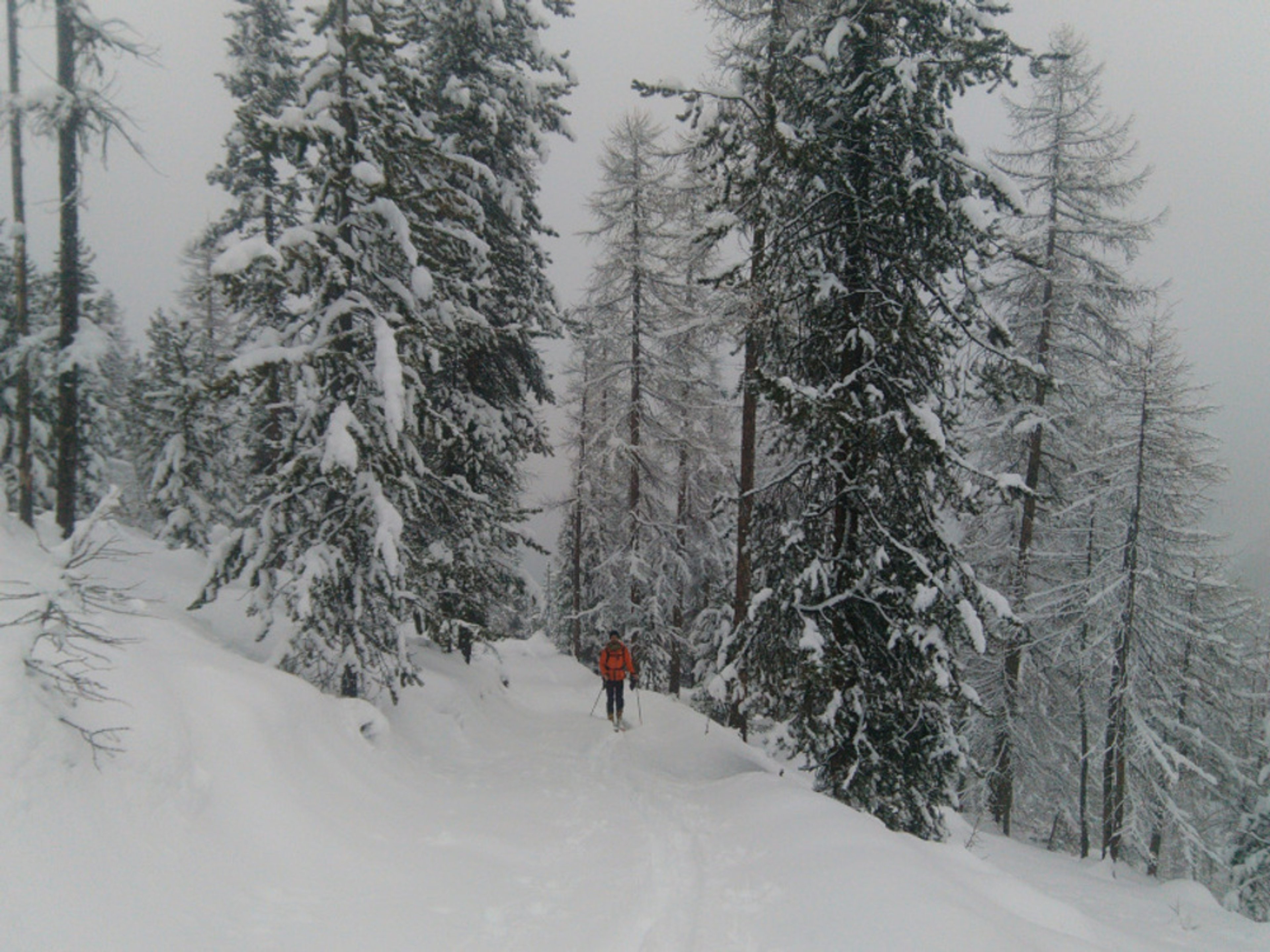 Ski de rando, mission sauvetage! — photo 6