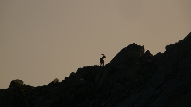 Stage autonomie en grande voie : 4 jours chez le guide dans les Hautes-Alpes