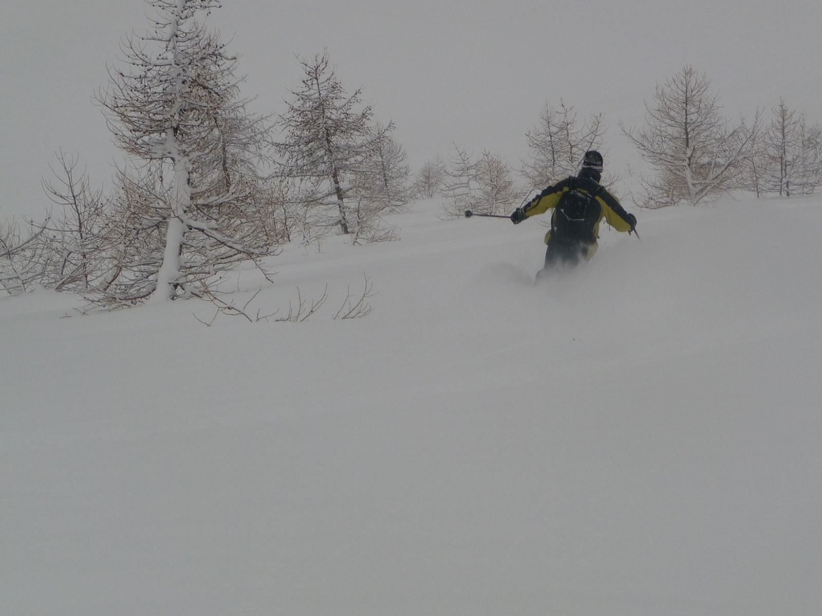 Serre Chevalier - En forêt c'est pas pire aussi