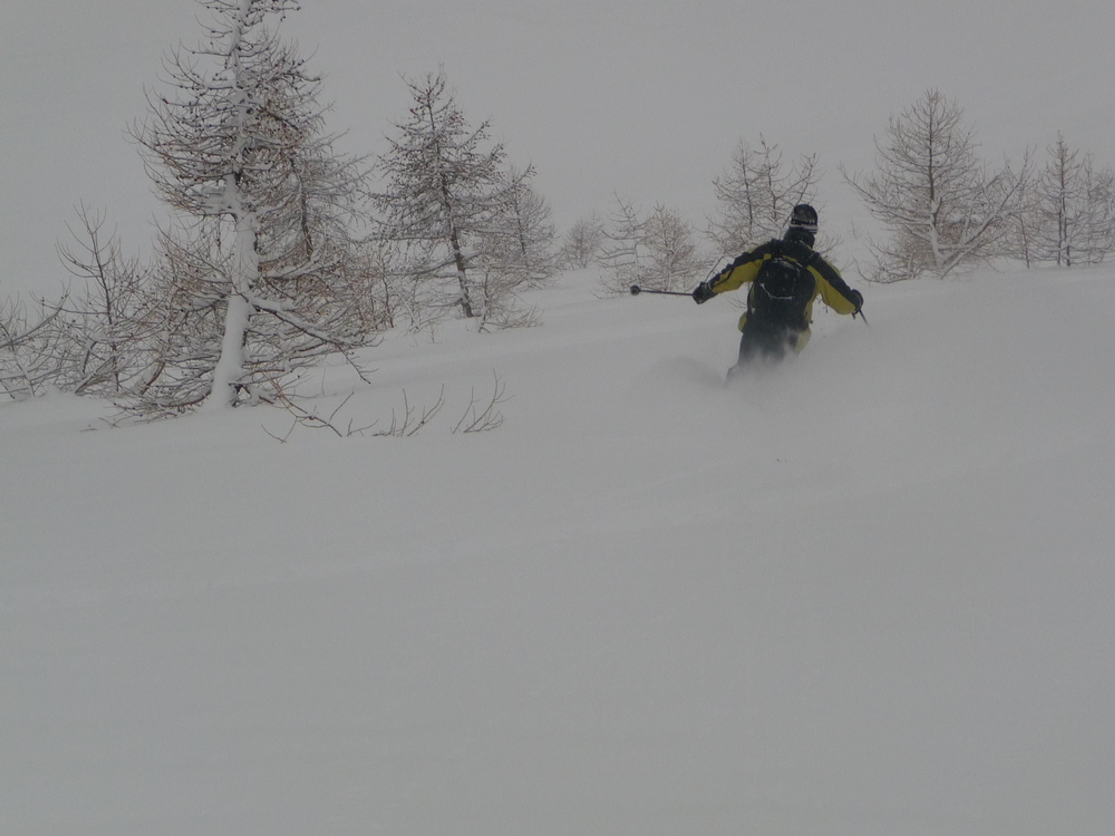 Serre Chevalier - En forêt c'est pas pire aussi