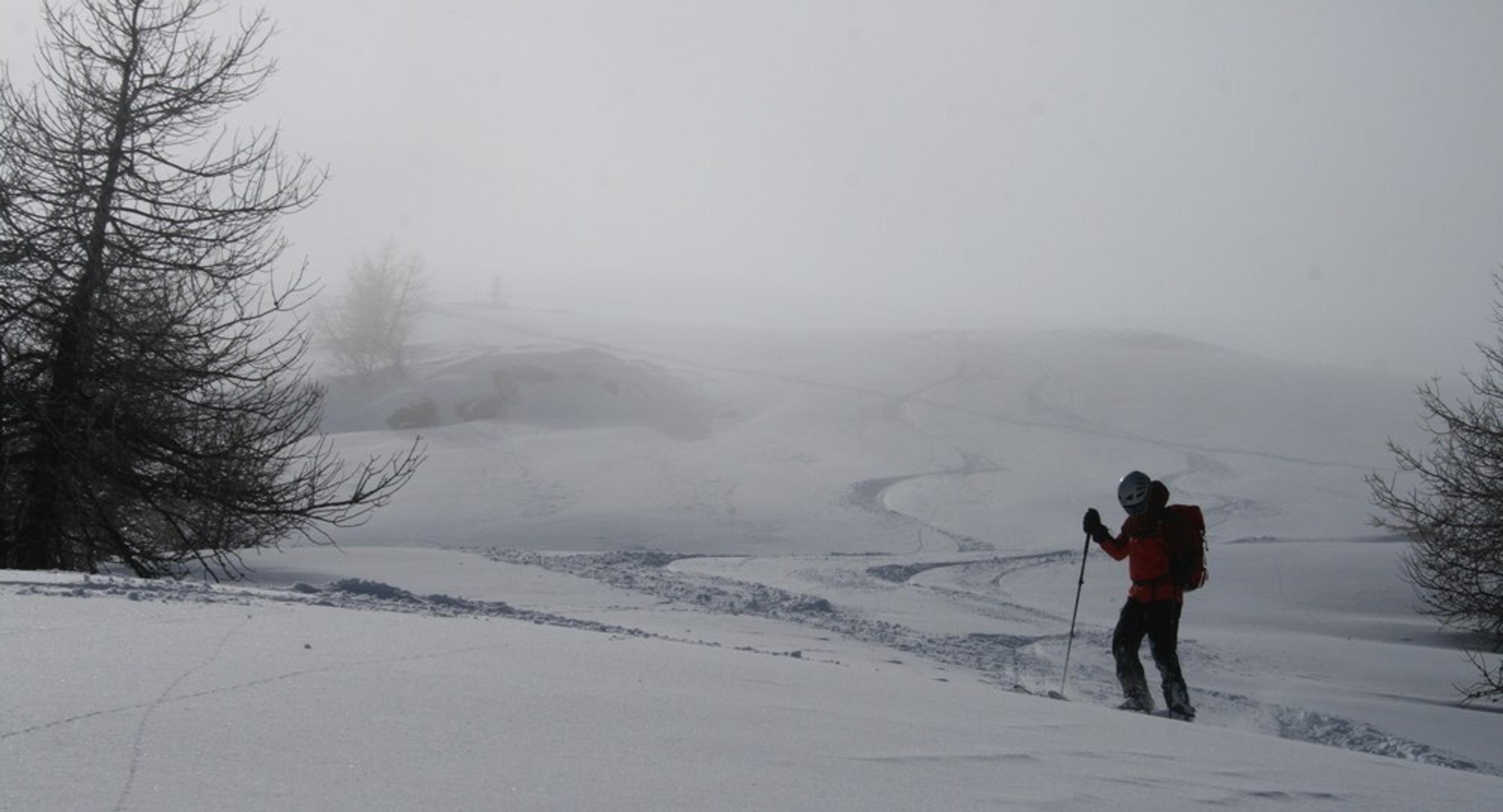 Ski de rando - Crête de la Seyte - Nos traces dans le haut