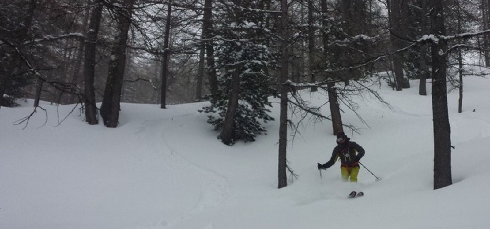 Tor descendant dans la neige fraîche entre les arbres à Abriès.