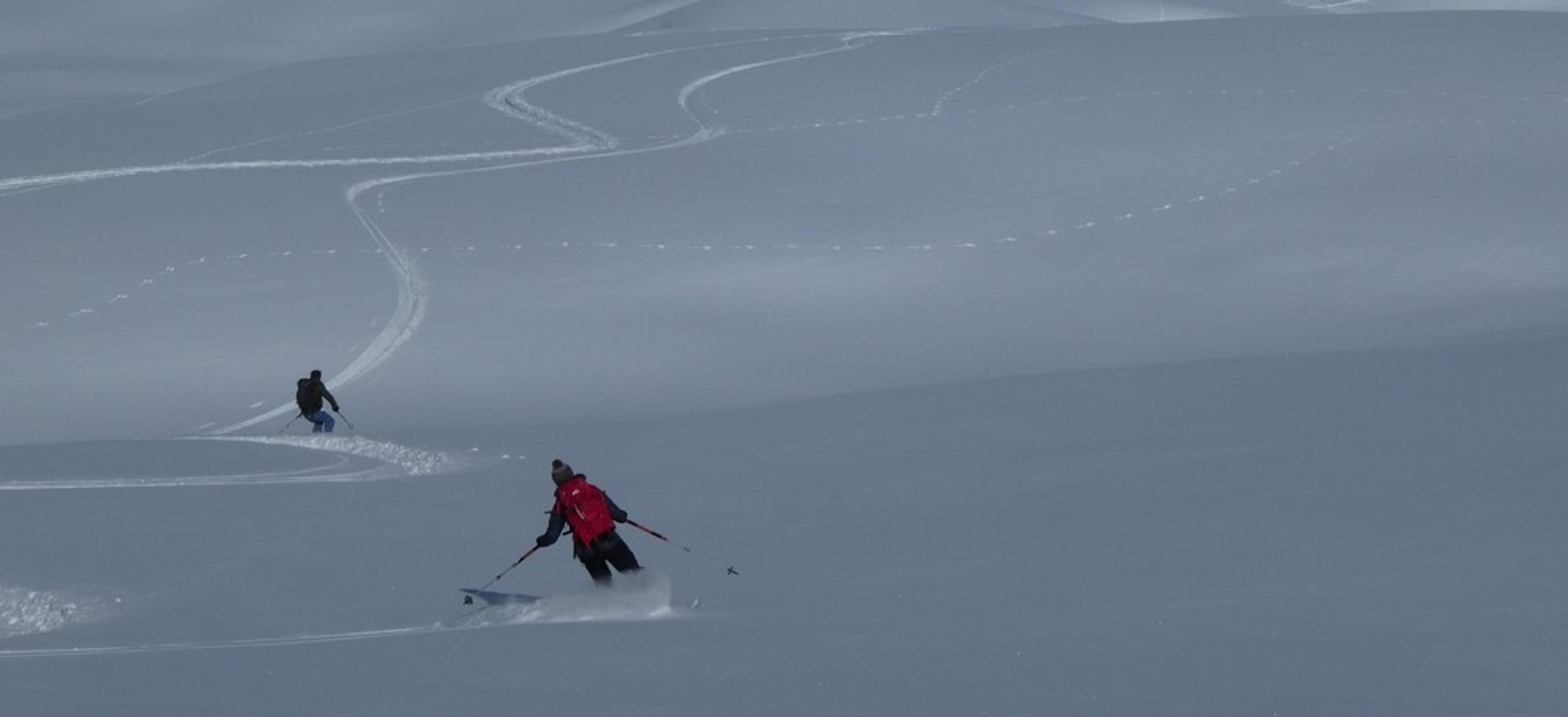 La Blanche - Freerando Pelvoux - Pentes vierges