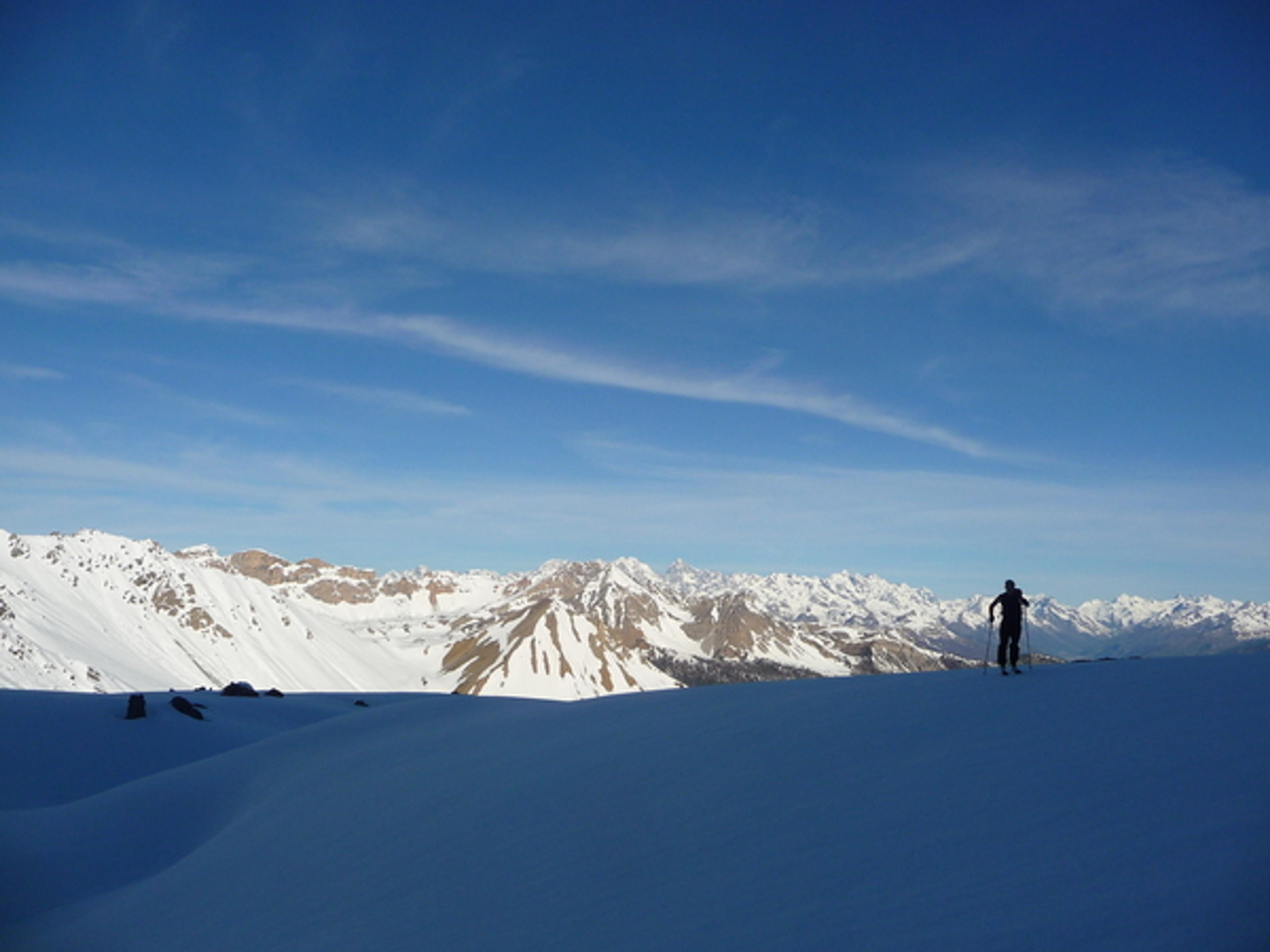 Pic de Rochebrune - Le bleu haut-alpin si rare ce printemps