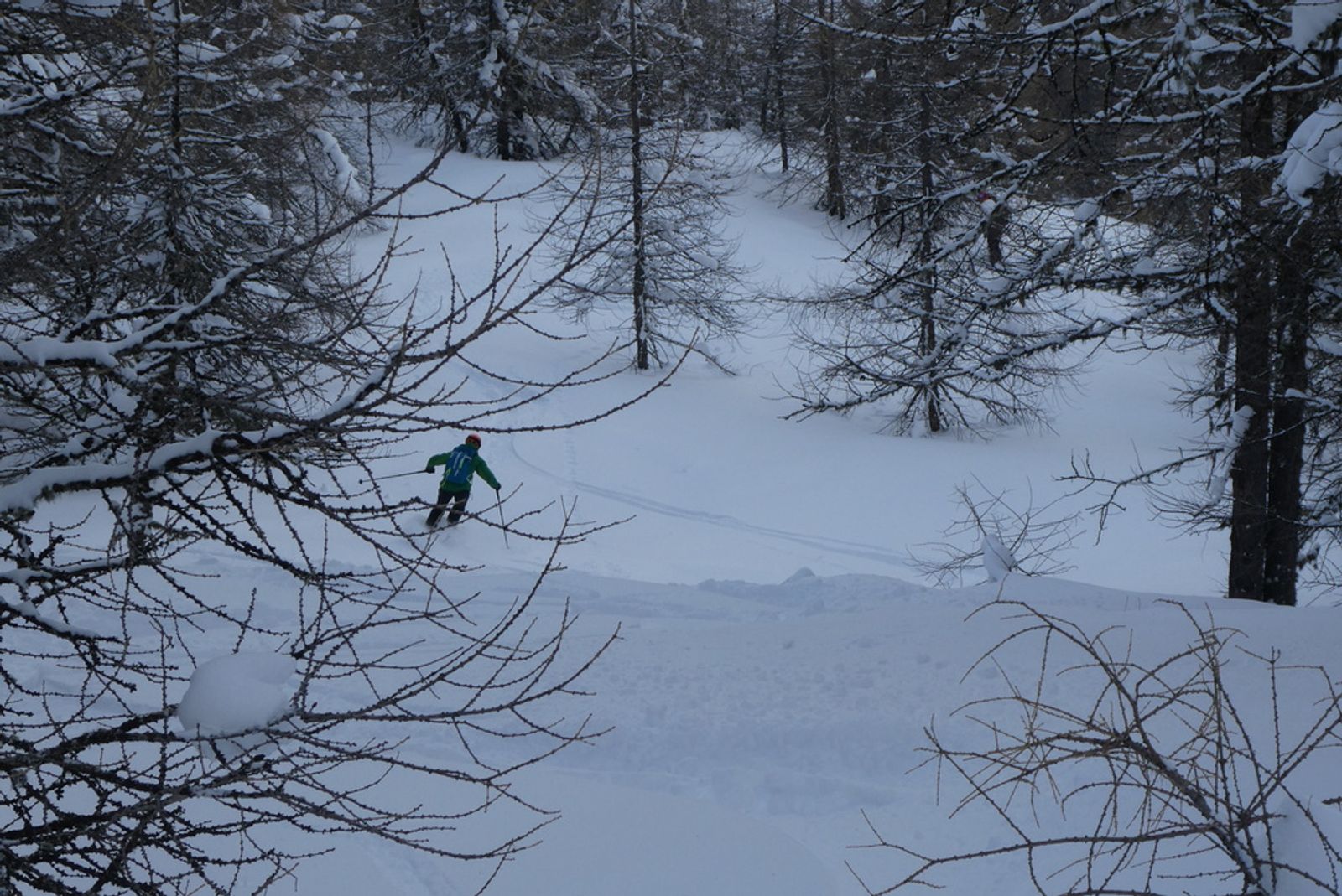 Free-rando-Crévoux - Skier in the Forest