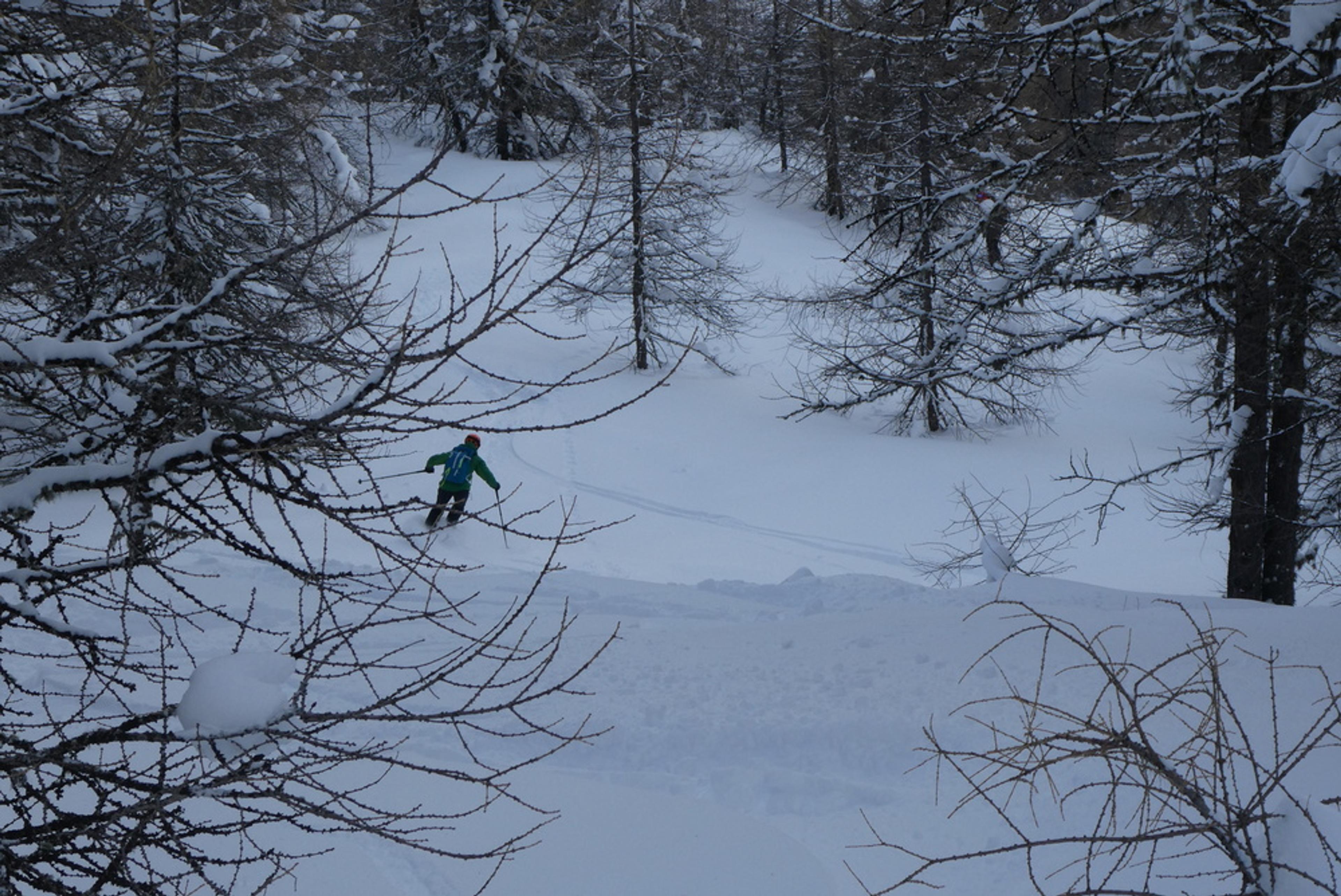 Free-rando-Crévoux - Skieuse dans la forêt