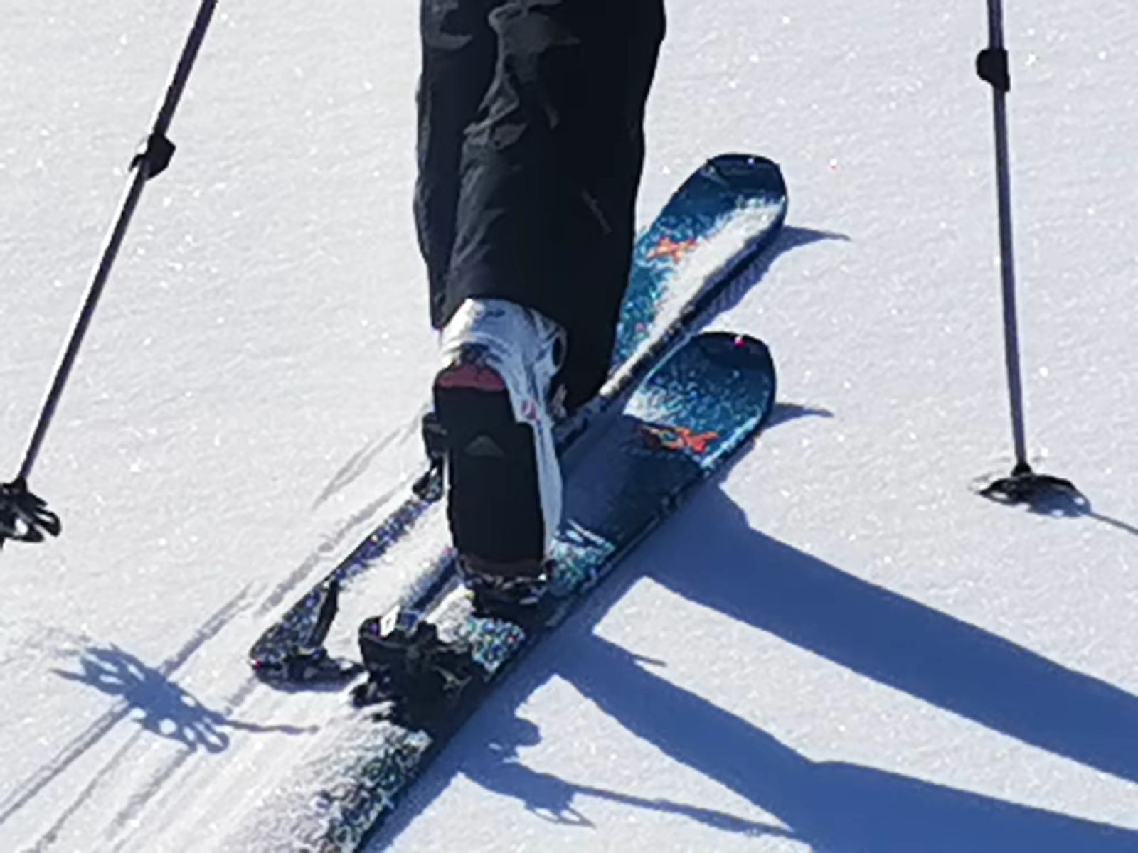 Gros plan sur des skis équipés de peaux de phoque pendant une randonnée au Groenland