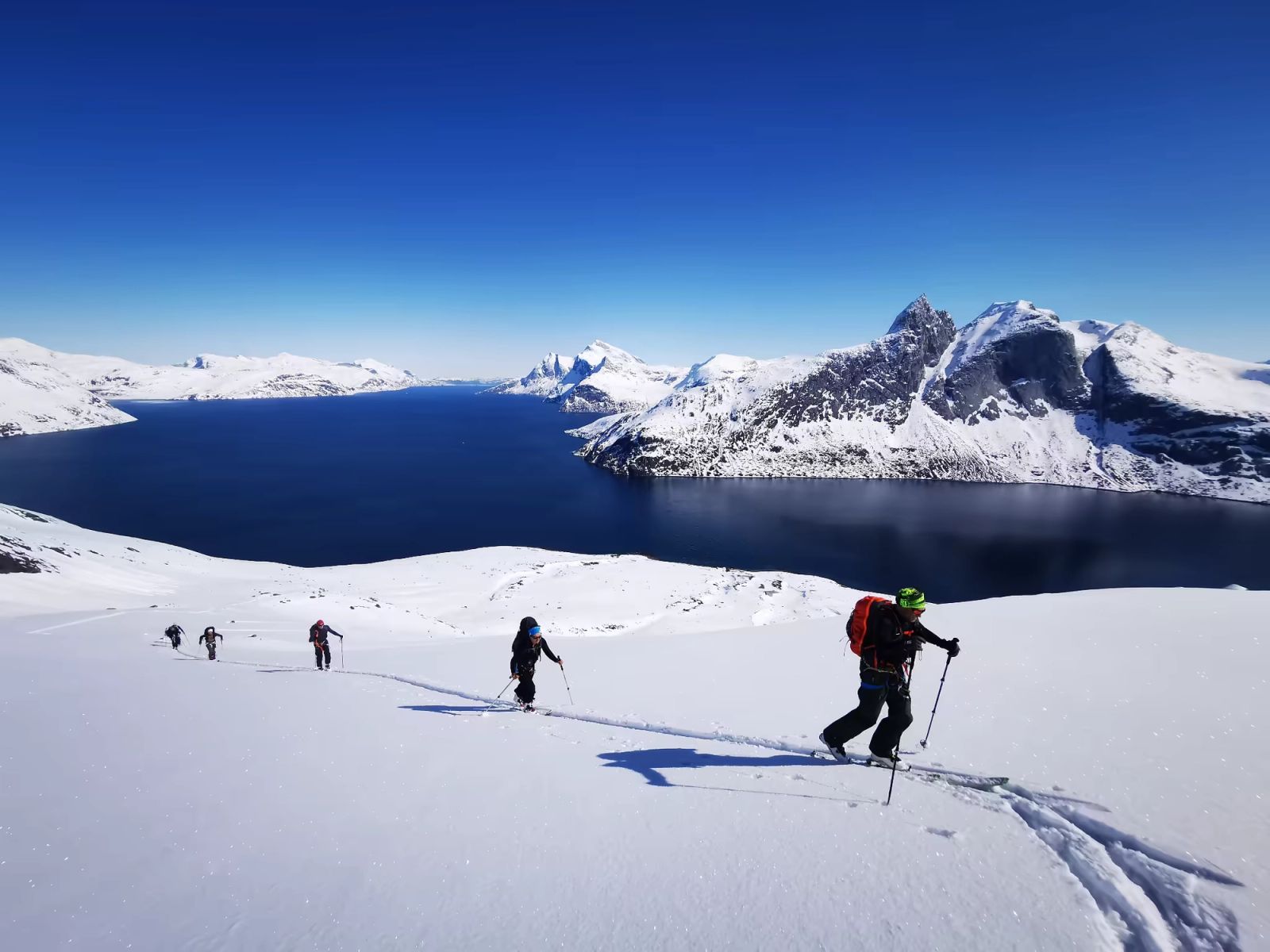 Skieurs en montée au-dessus d'un fjord pendant un séjour ski-voile au Groenland