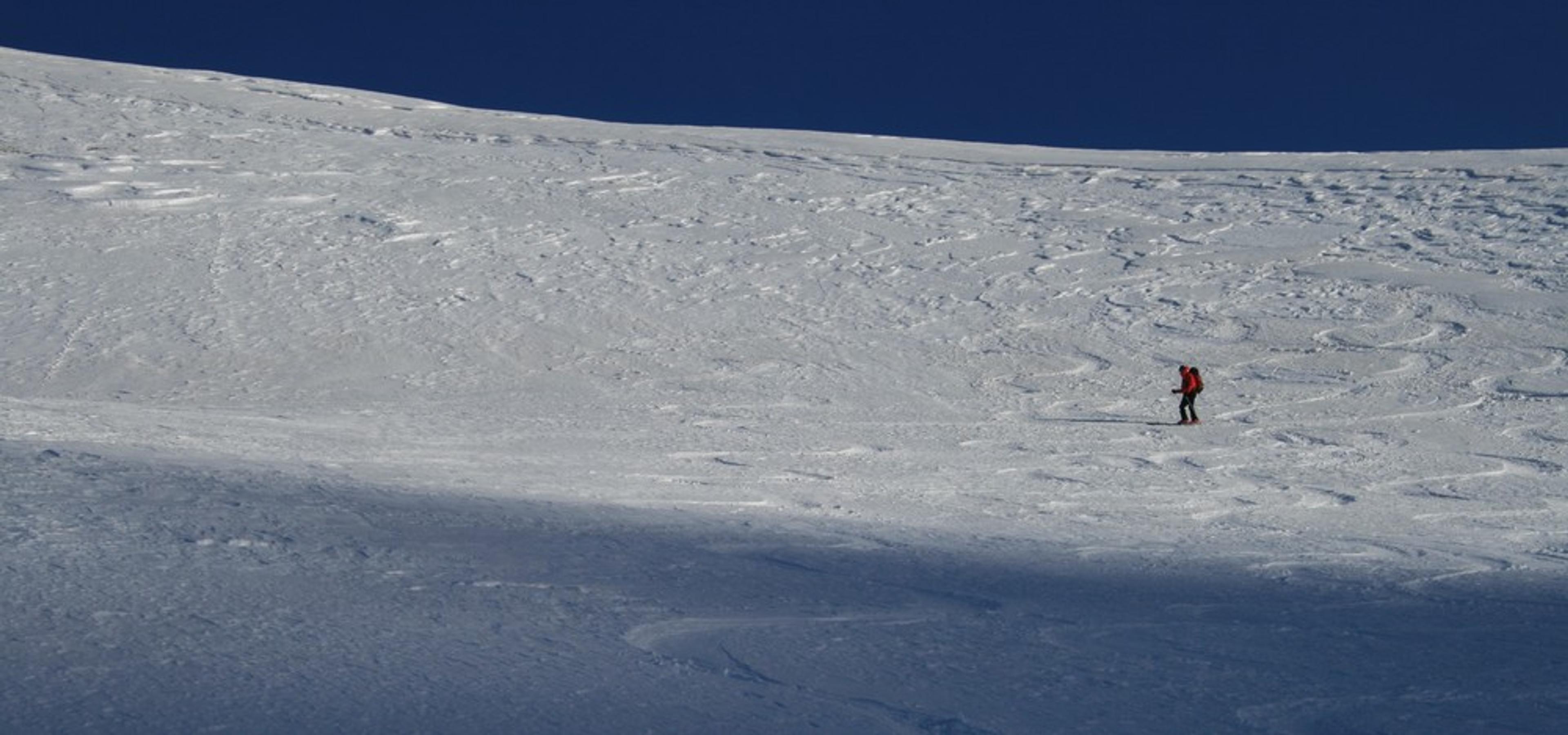 Tête du Girardin - On trouve encore de la poudreuse