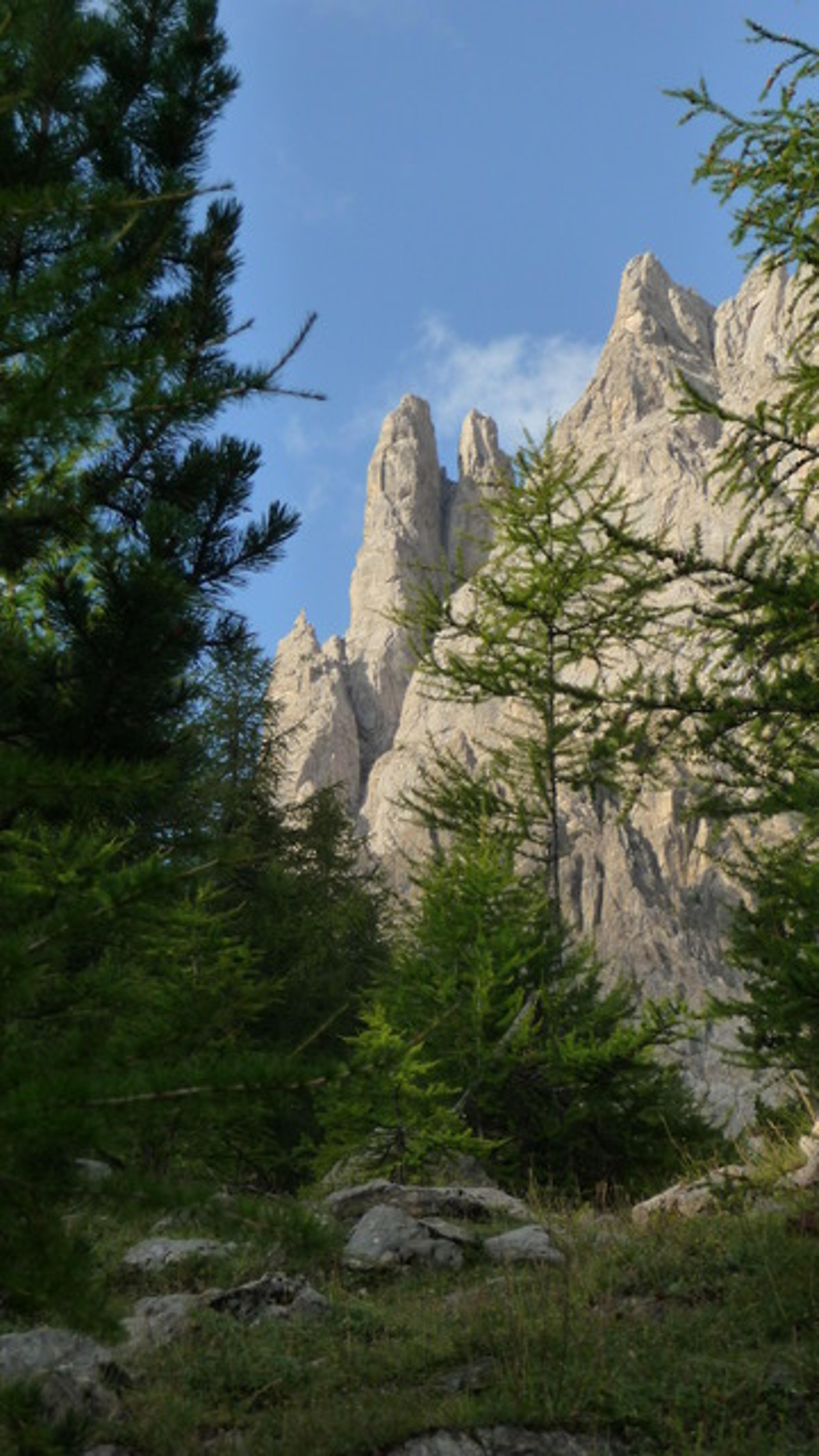 Tenailles de Montbrison