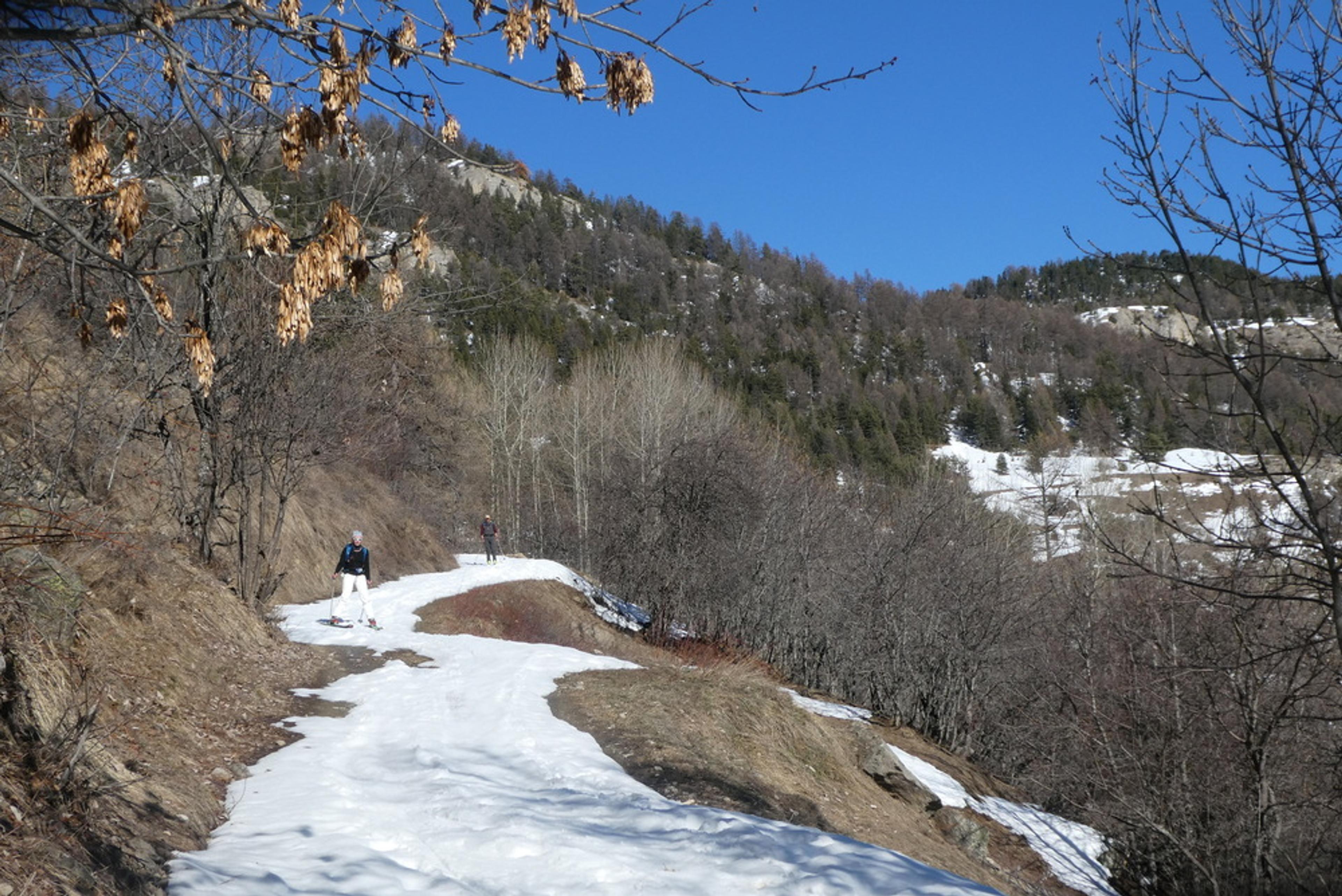 Découverte ski de randonnée - Tête des Aluzières - Retour par le Col d'Anon