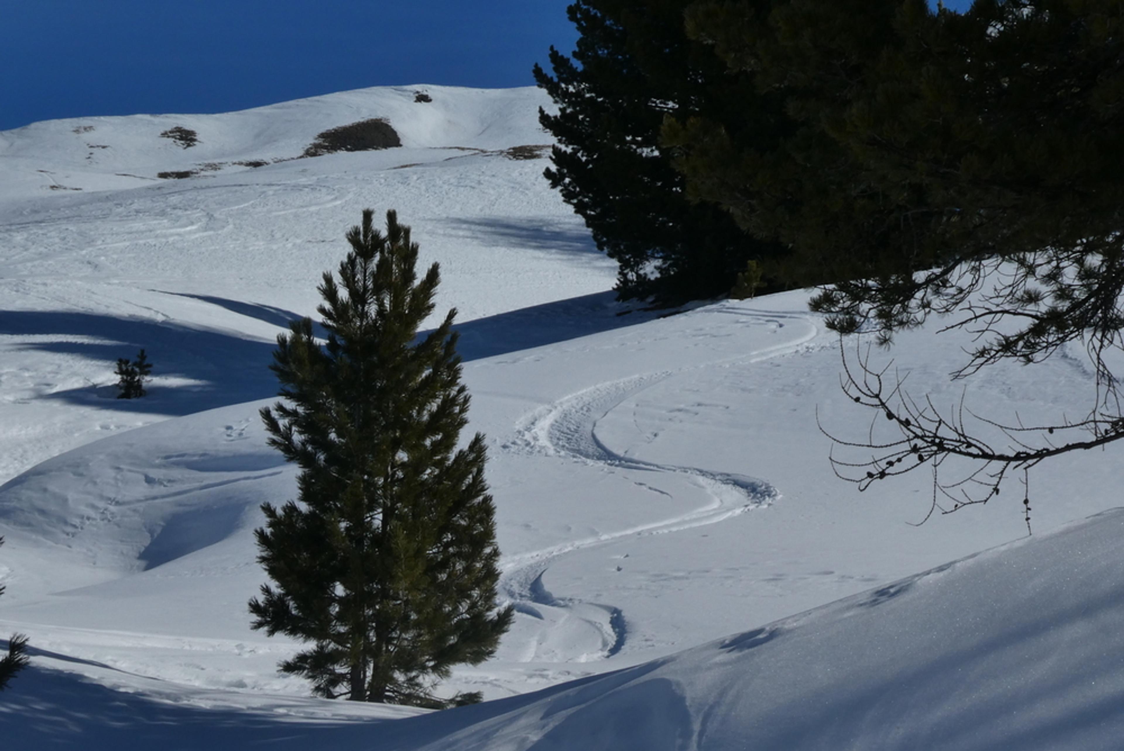 Initiation ski de randonnée - Paneyron - De la poudre encore?
