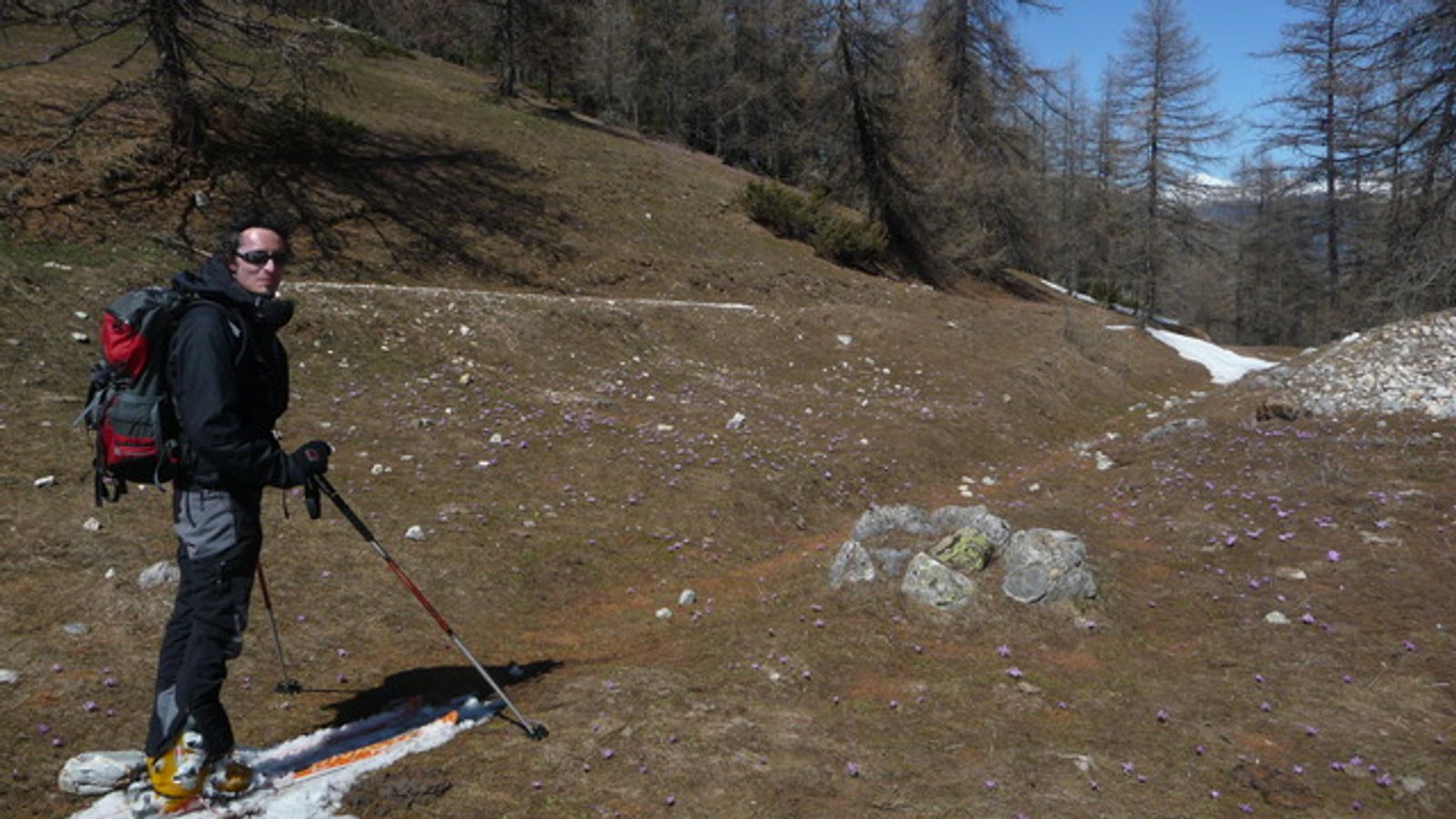Arrivée dans les crocus et les colchiques Peyre Eyraute