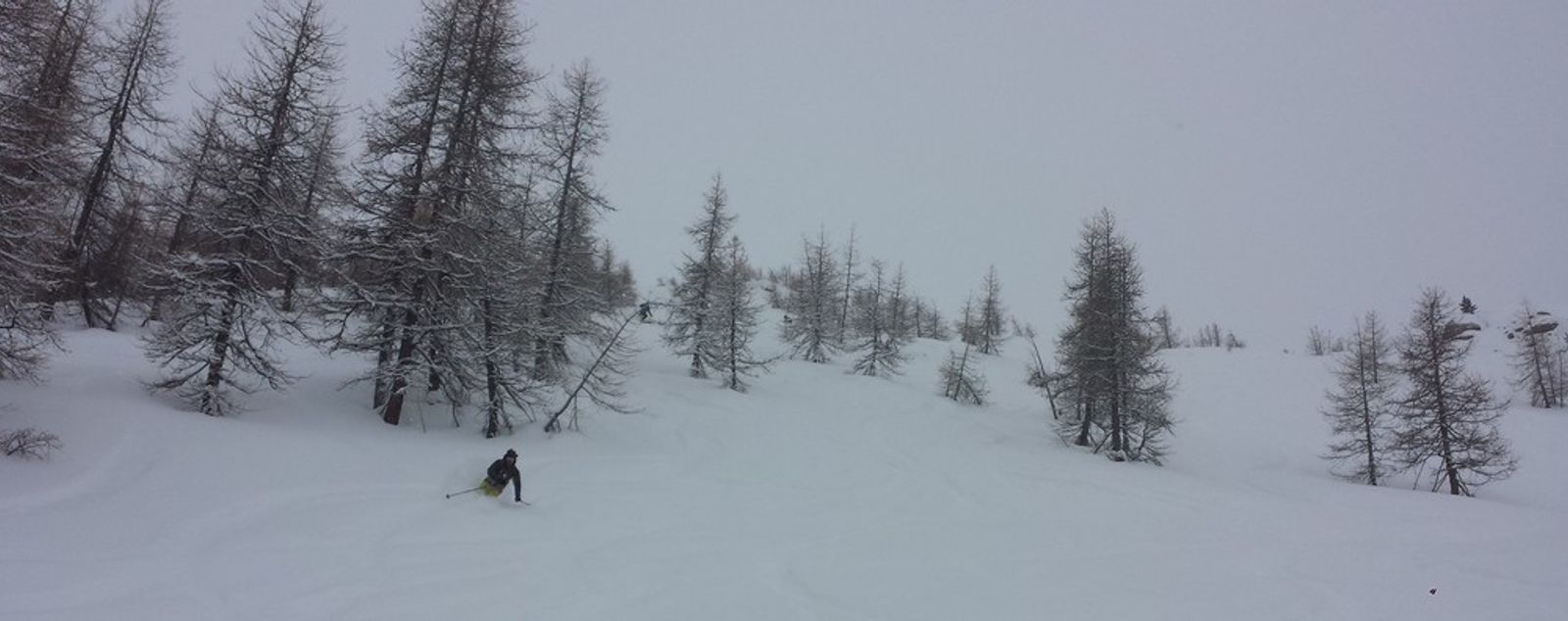 Hors piste Abriès – Premiers runs dans les bois