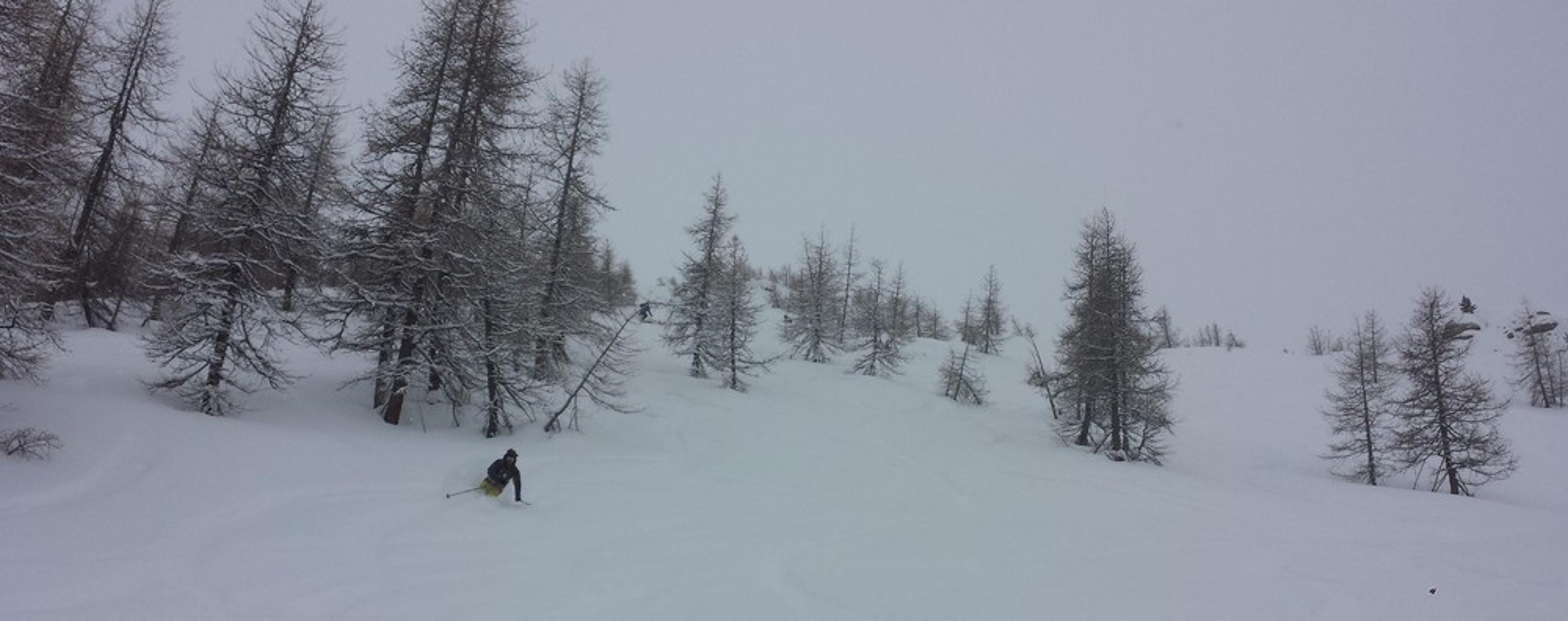 Hors piste Abriès - Premiers runs dans les bois