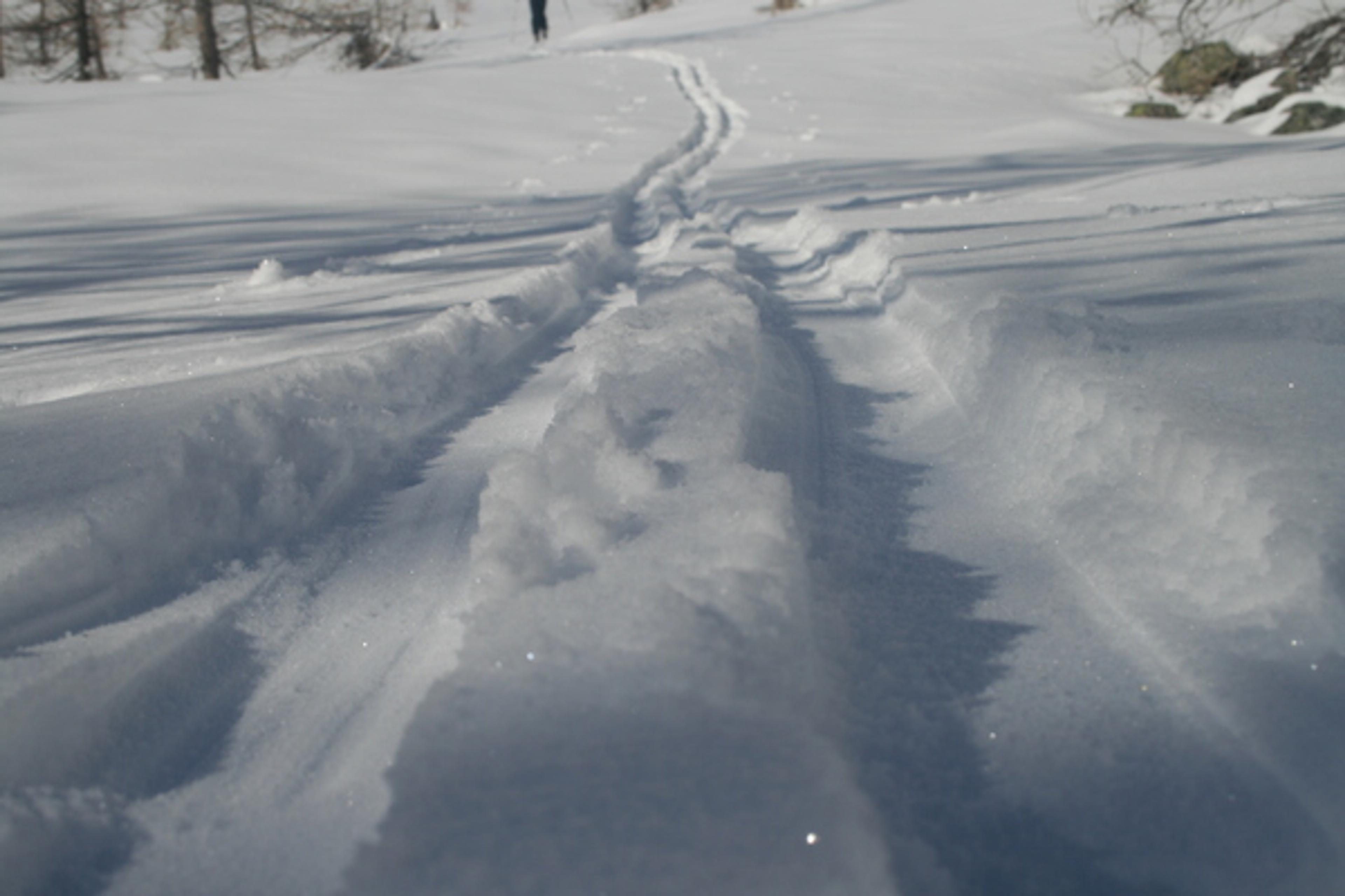 Vallon du Fontenil - Je suis Rémy à la trace!