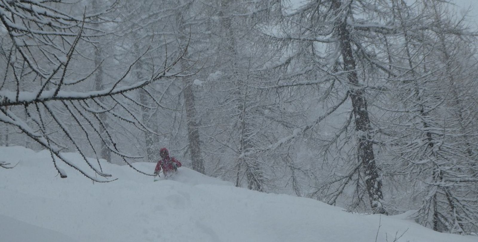 A skier in a forest off-piste area