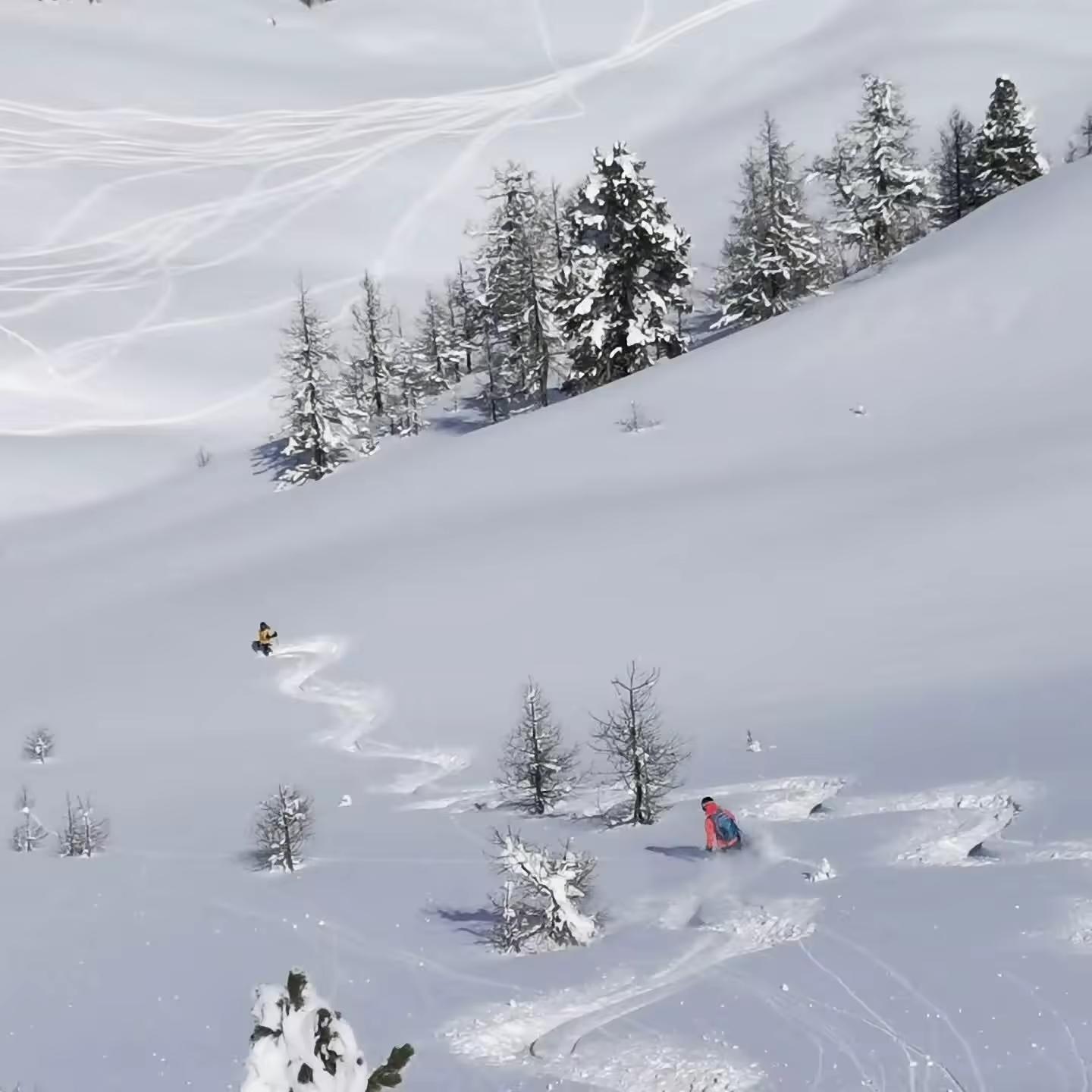 Journée Freerando Hautes-Alpes
