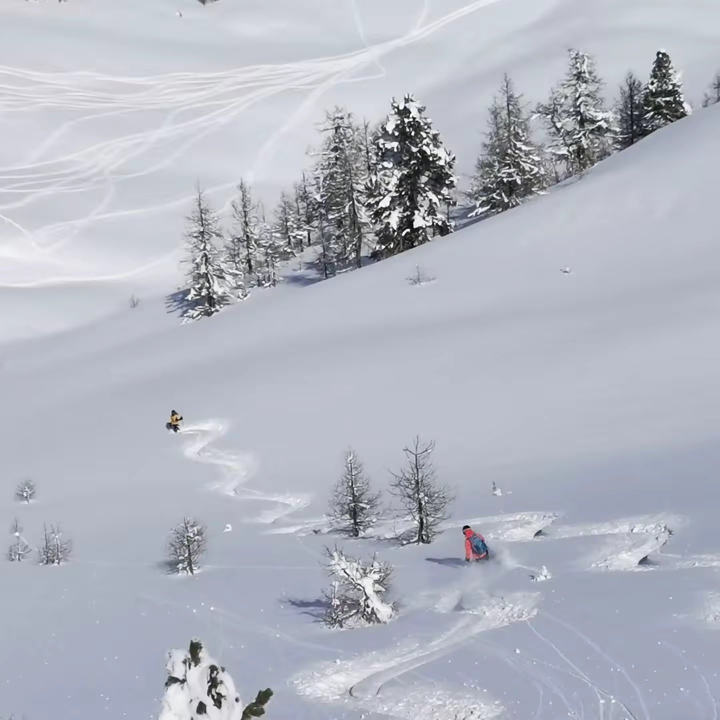 Journée Freerando Les Orres