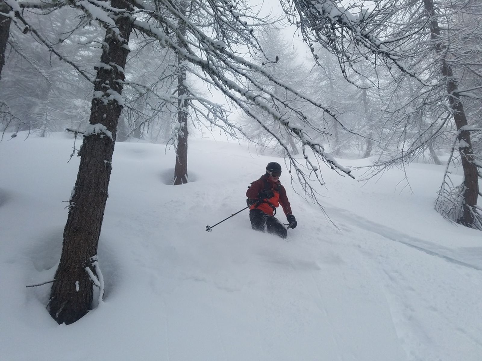 Skieur dans la poudreuse profonde du mélézin de Champcella