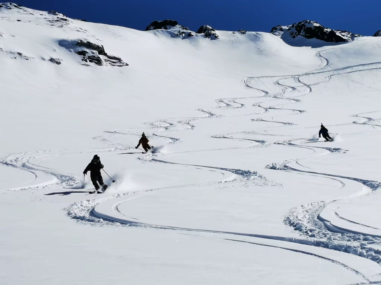 Groupe de skieurs dessinant de larges courbes dans la neige fraîche au Groenland