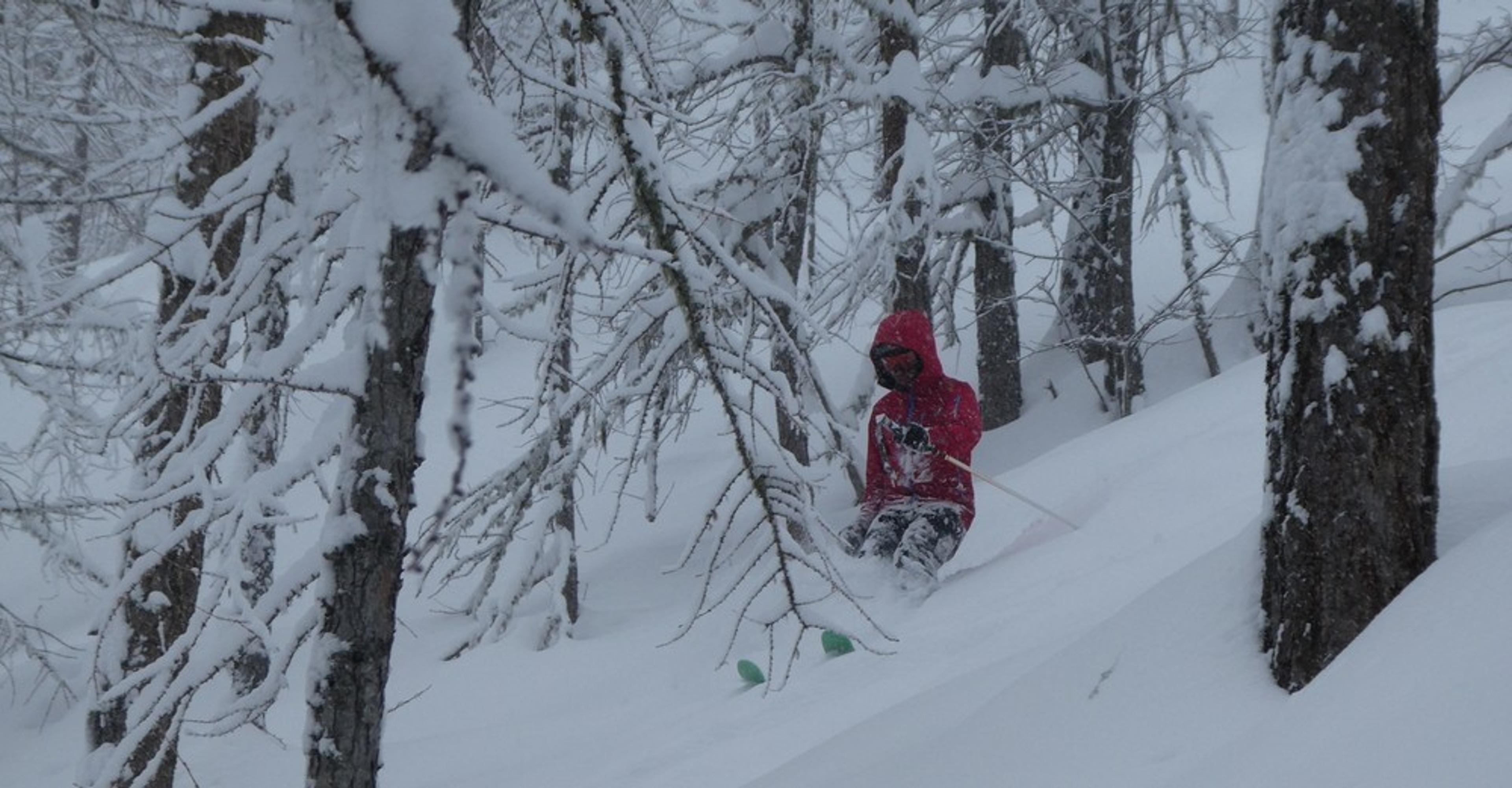 Hors piste Puy Saint Vincent - De la forêt de la bonne