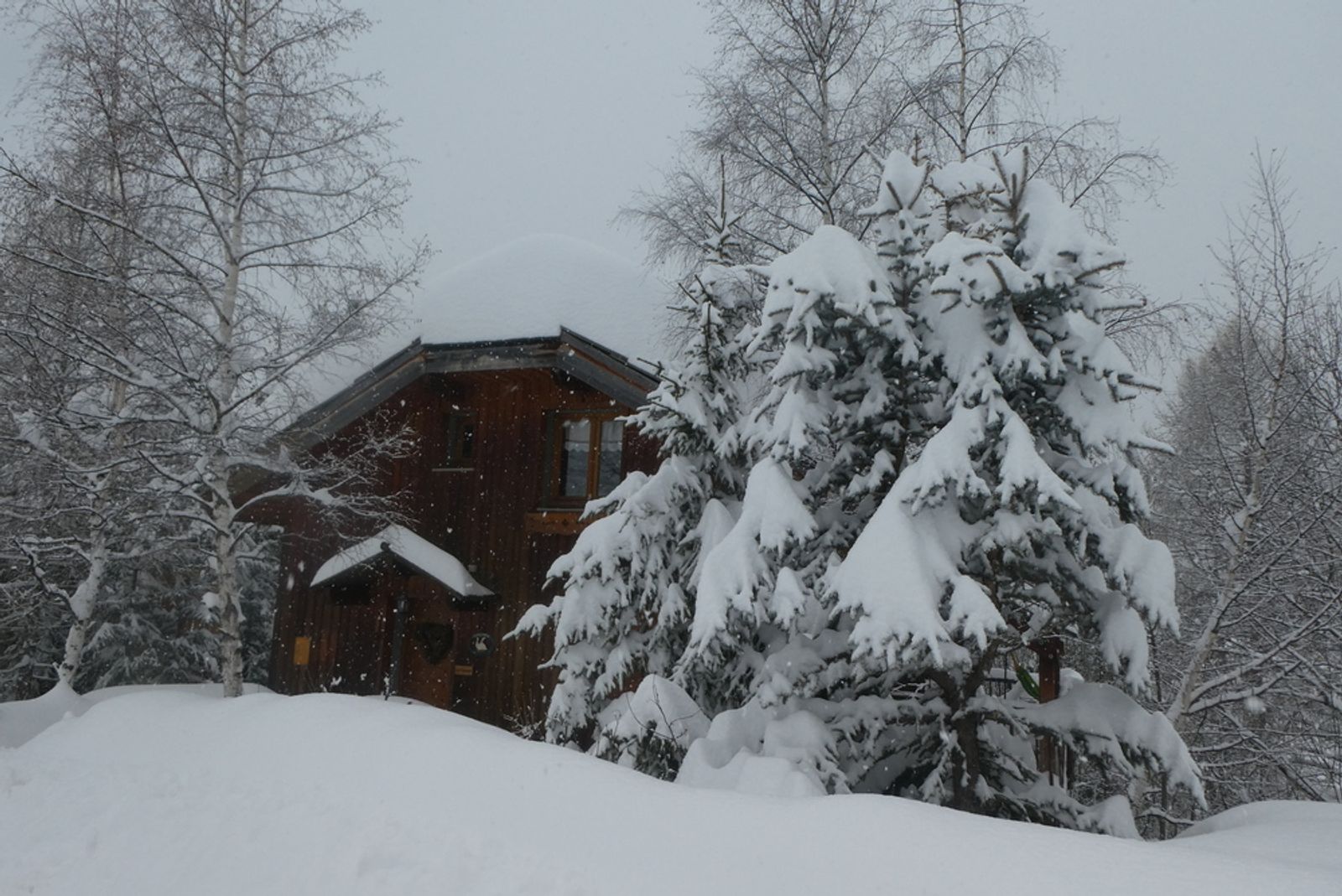 Hors piste Praloup - C'est Noel!