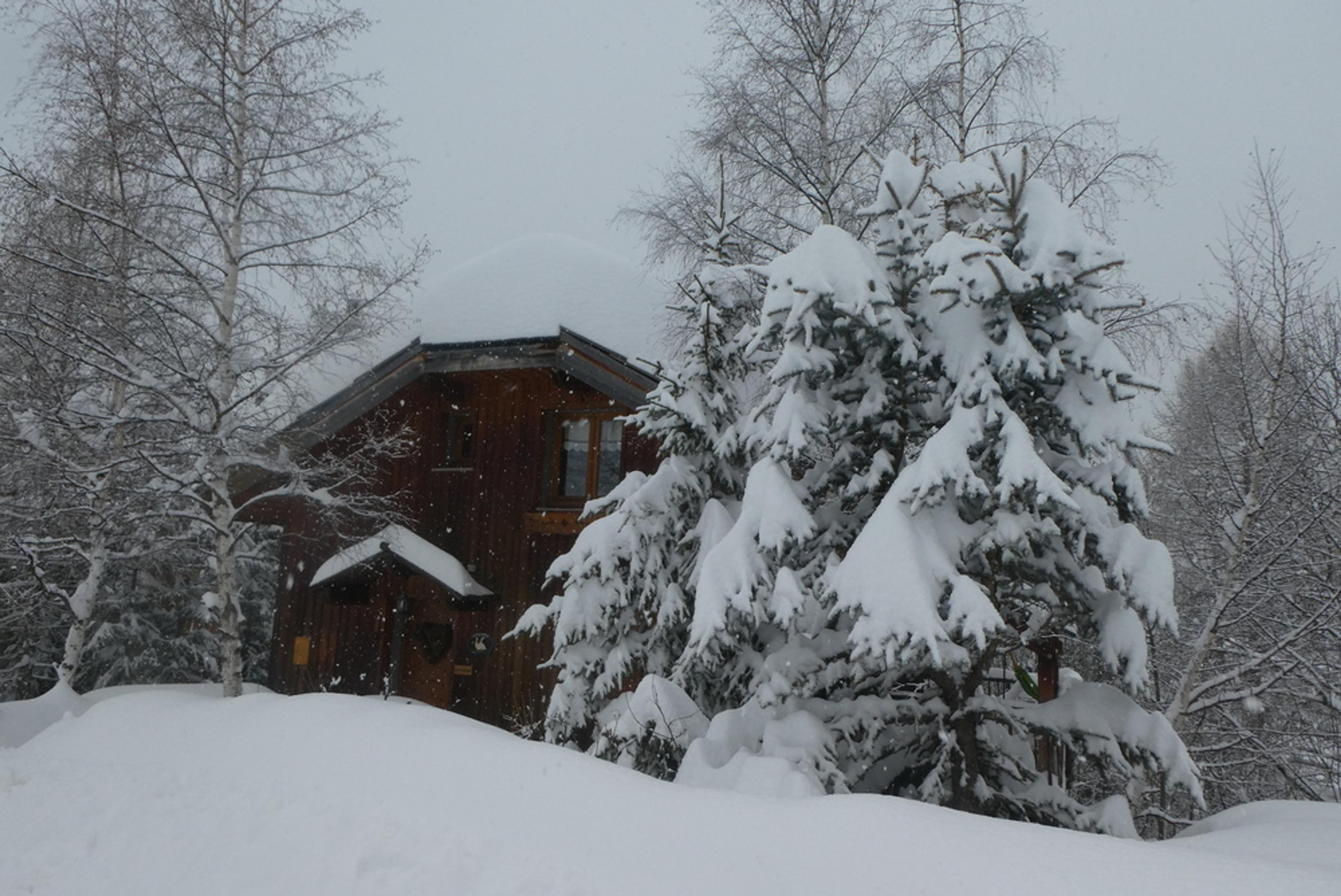 Hors piste Praloup - C'est Noel!
