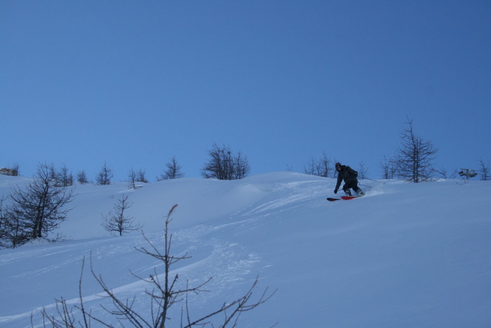 Popow day - deux fois! — photo 21