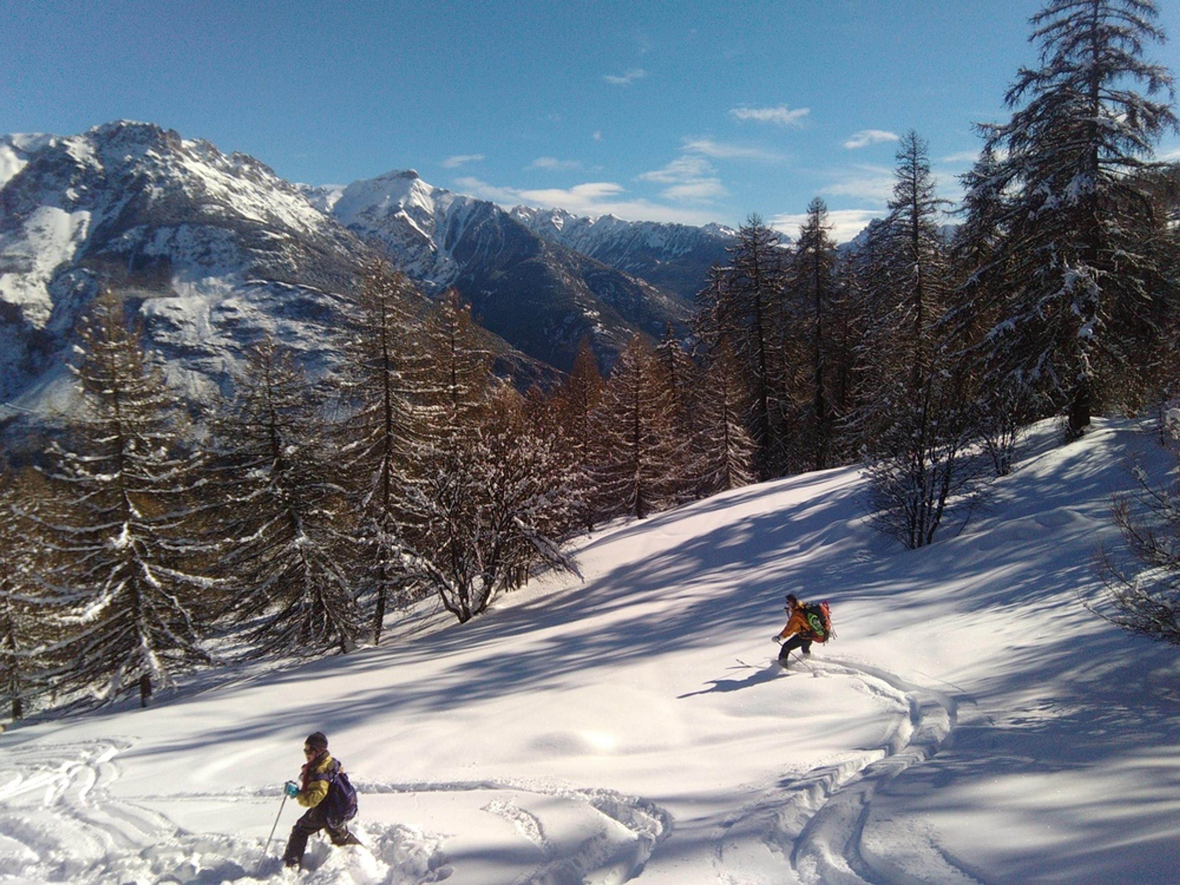 Petites traces en famille
