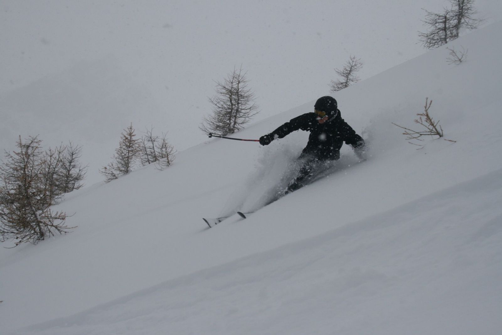 Popow day - deux fois! — photo 8