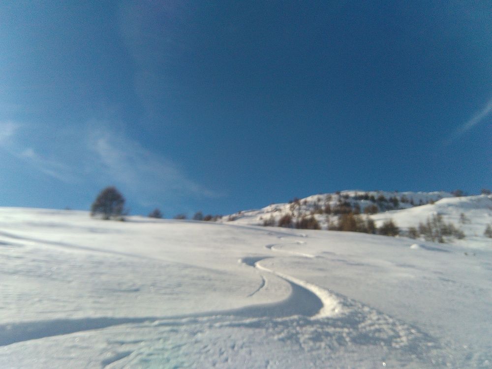 Trop dur la vie d'Alpin!