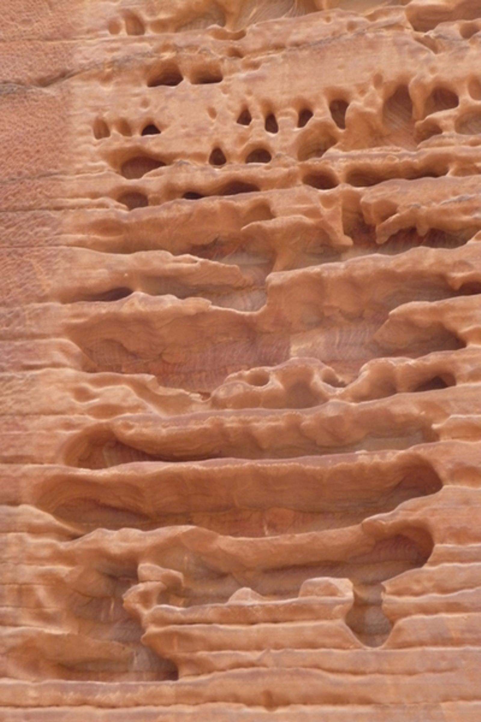 3 jours à Petra, la bariolée! — photo 3