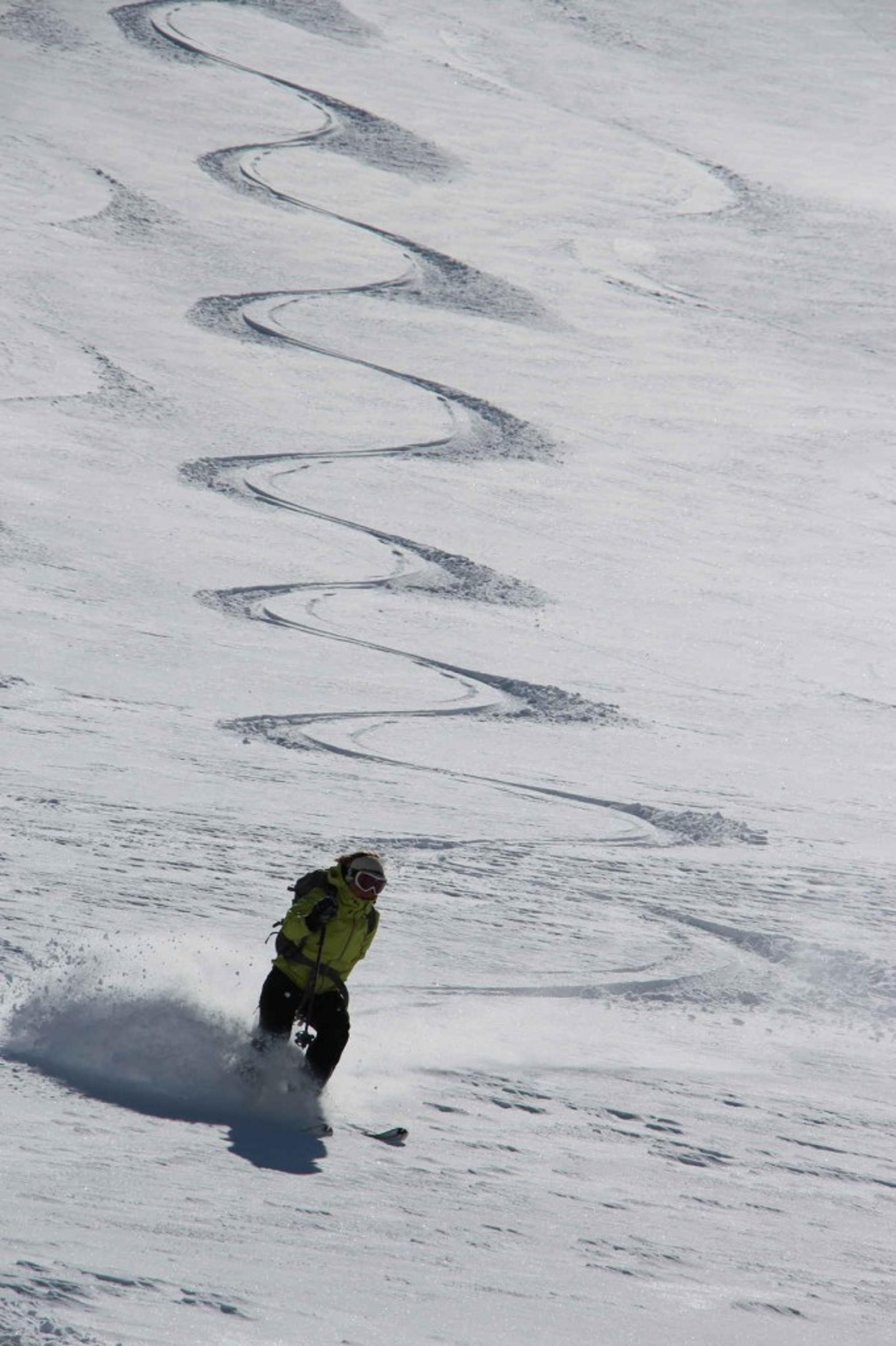 Journée Freerando Hautes-Alpes