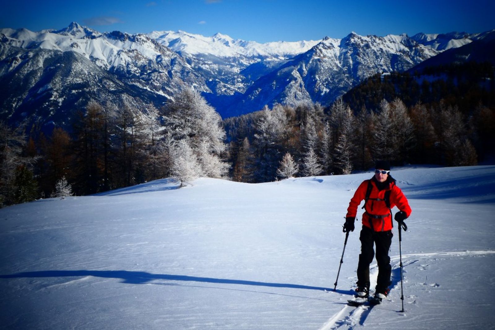 On sort pas du bois! — photo 6