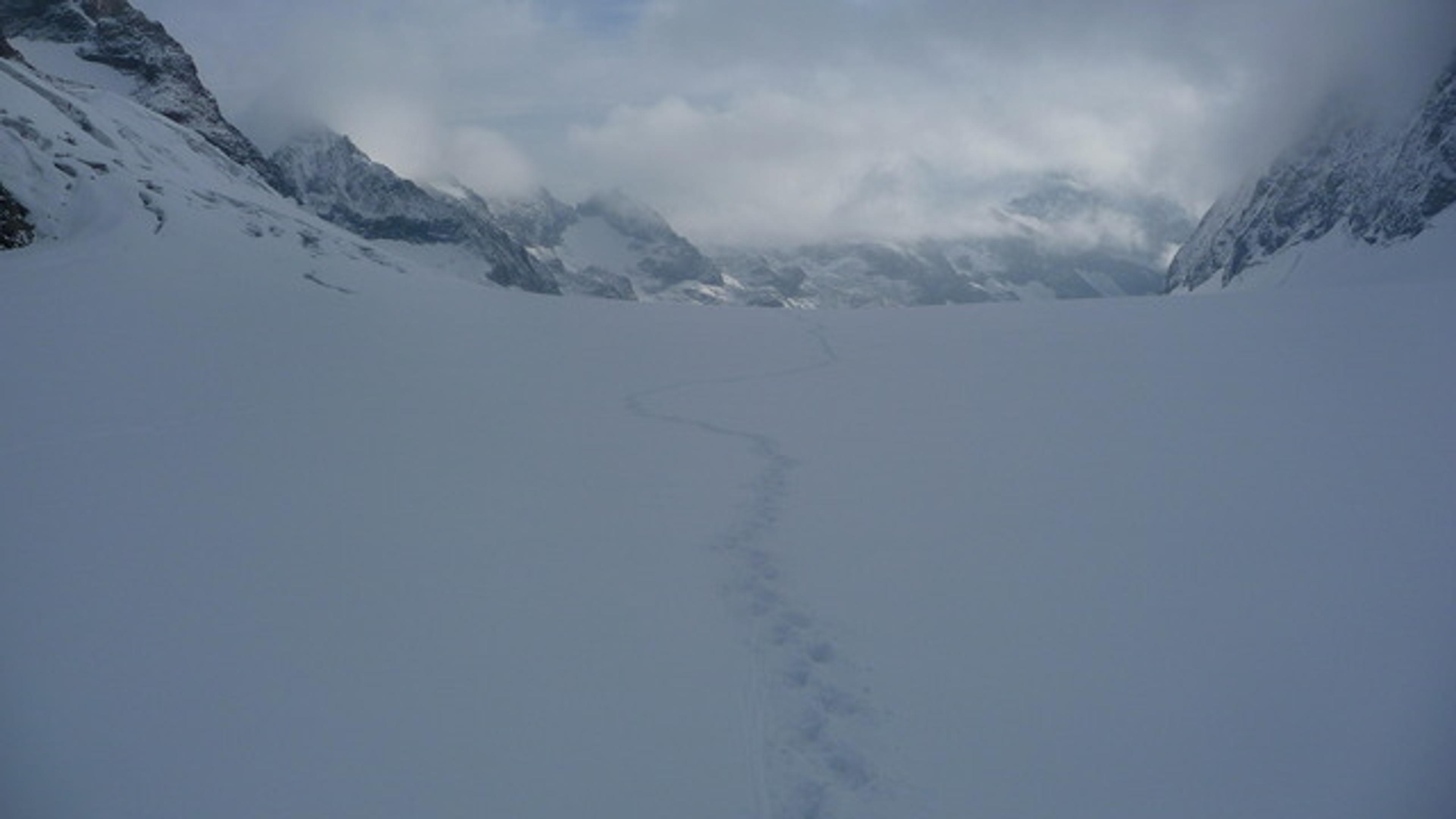 Dôme des Ecrins - Notre trace sur la Glacier Blanc faite avec 0 visibilité!