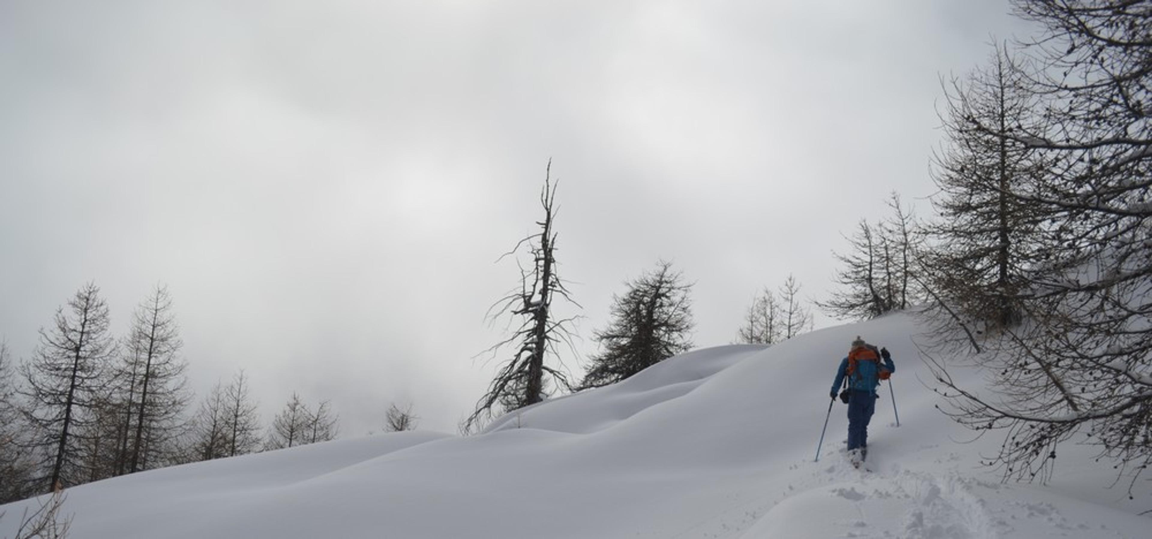 Ski de rando - Crête de la Seyte - Plaisir de la montée