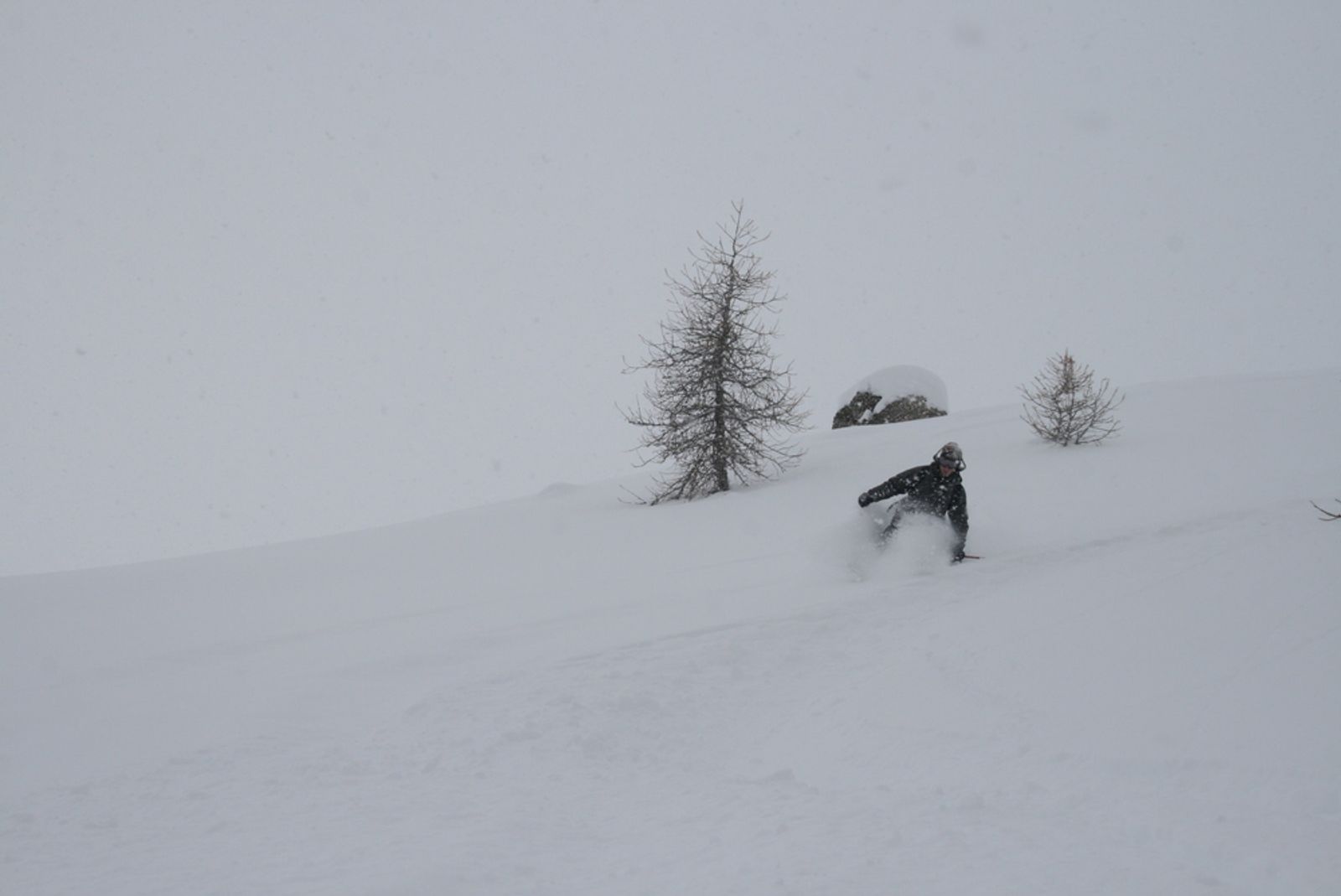 Popow day - deux fois! — photo 5