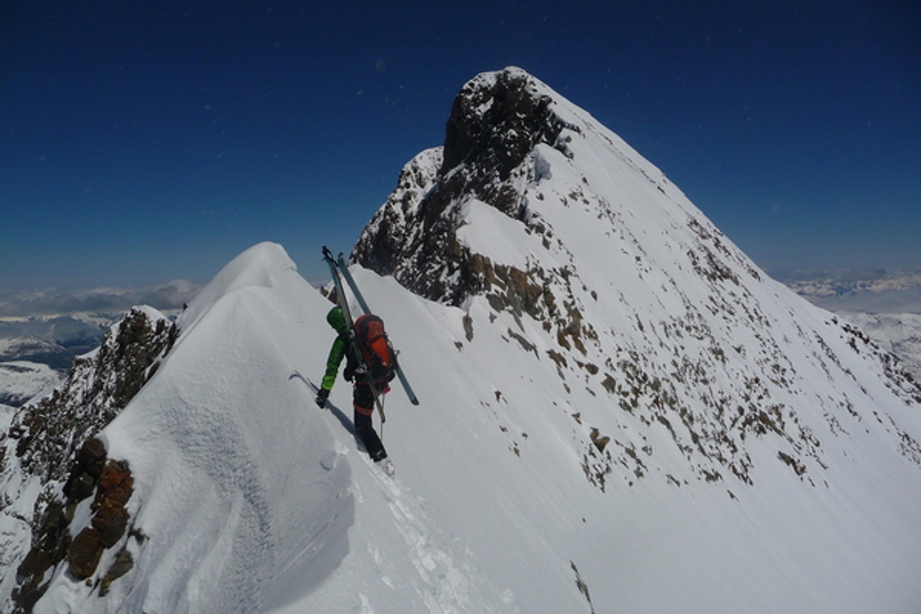 Piz Bernina - L'arête neigeuse de la Bernina