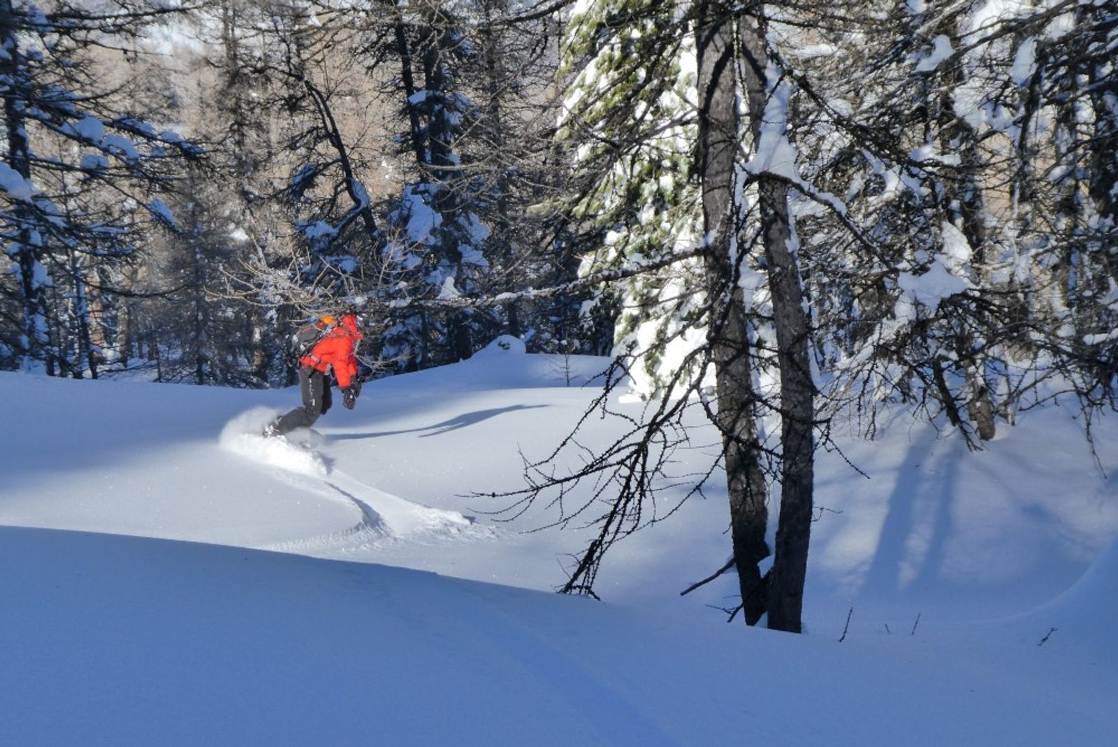 On sort pas du bois! — photo 3