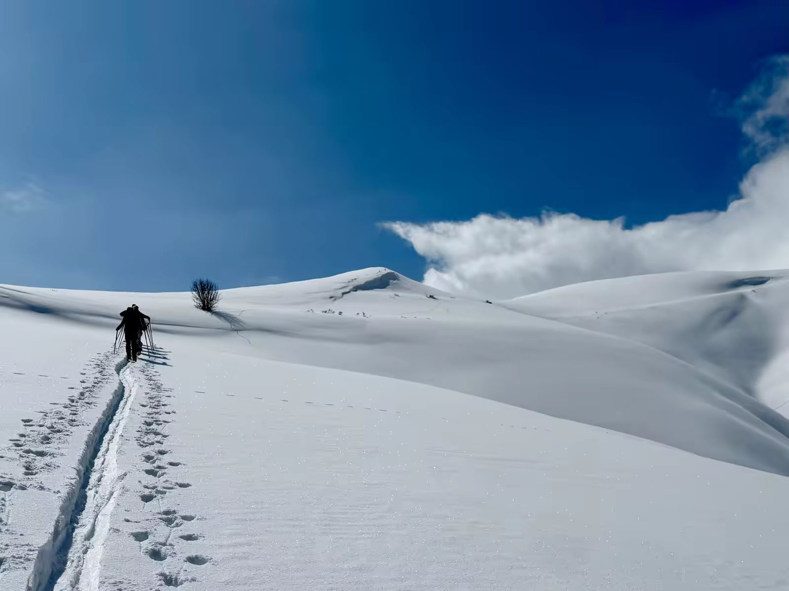 A la montée en ski de randonnée dans le secteur de Goghtanik