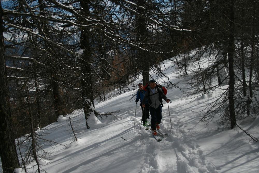 Tête de Fouran -Montée printanière dans les bois