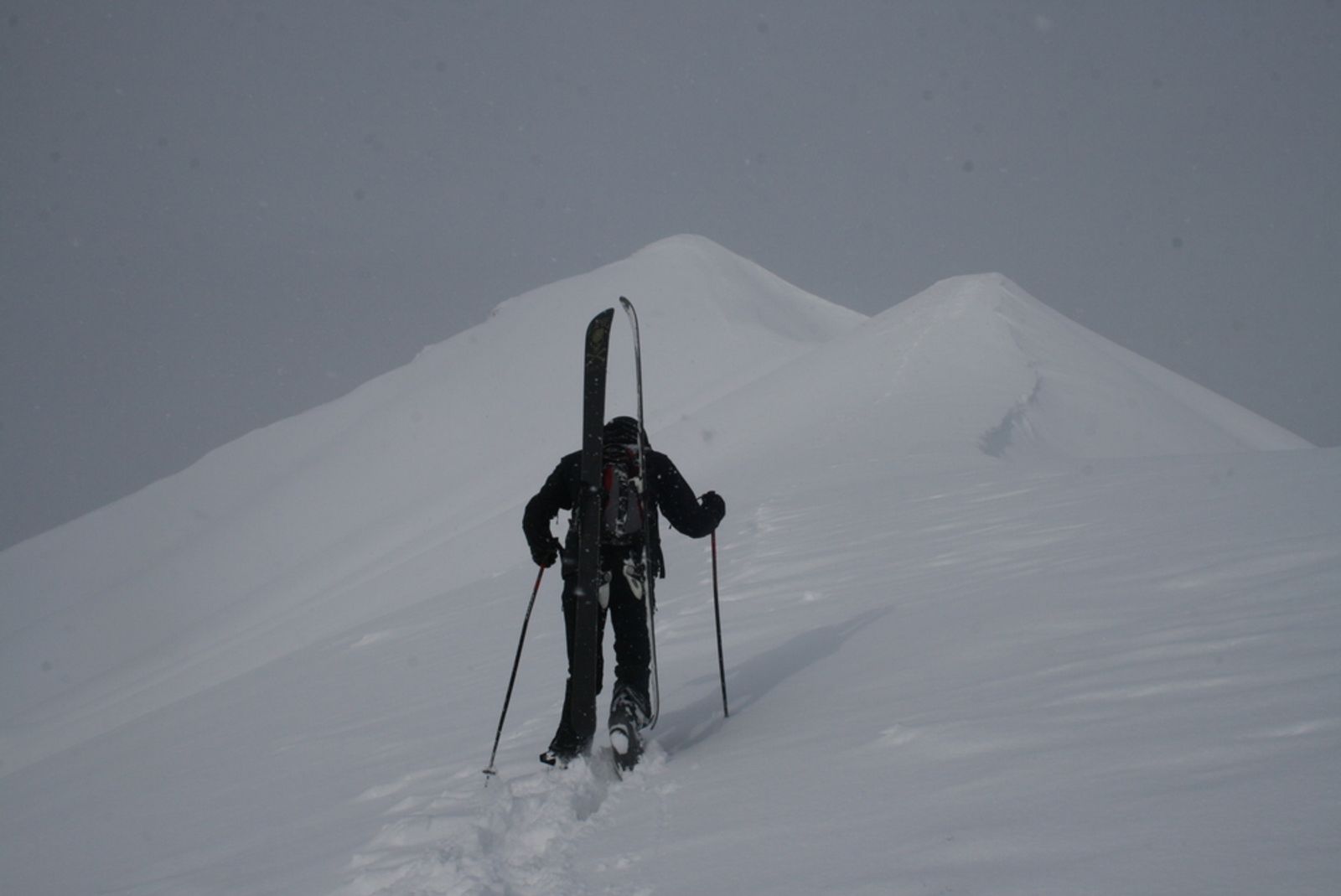 Popow day - deux fois! — photo 12