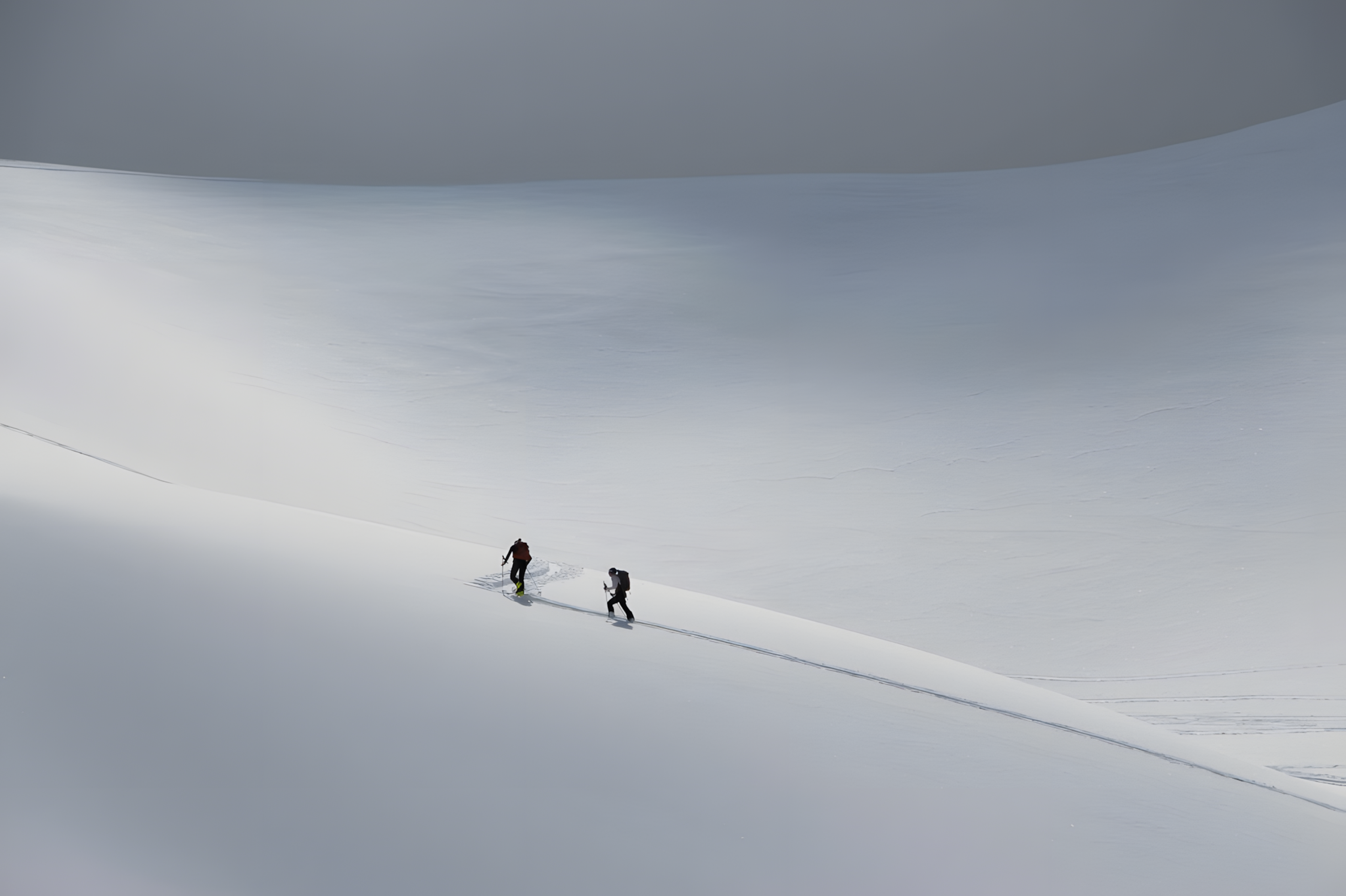 Ski