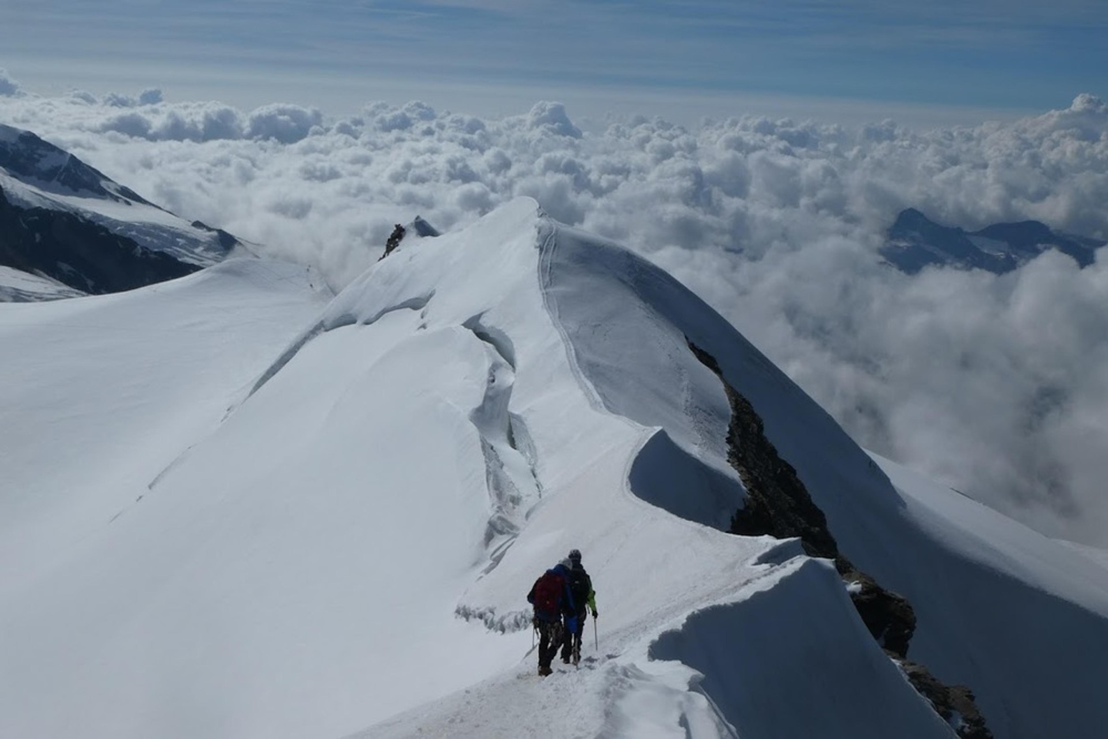 L'arête de castor
