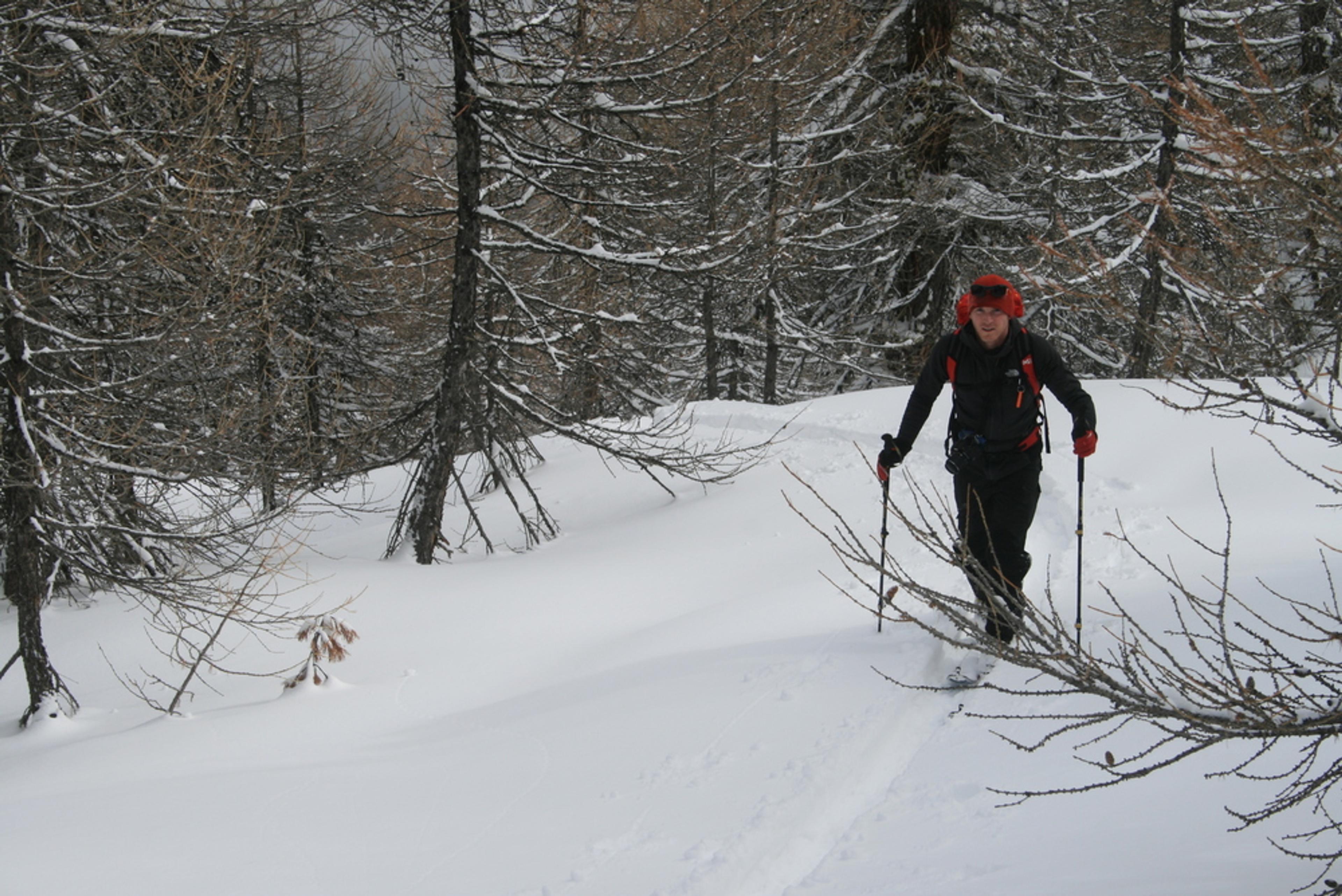 Ski de rando - Crête de la Seyte - Promenons nous dans les bois