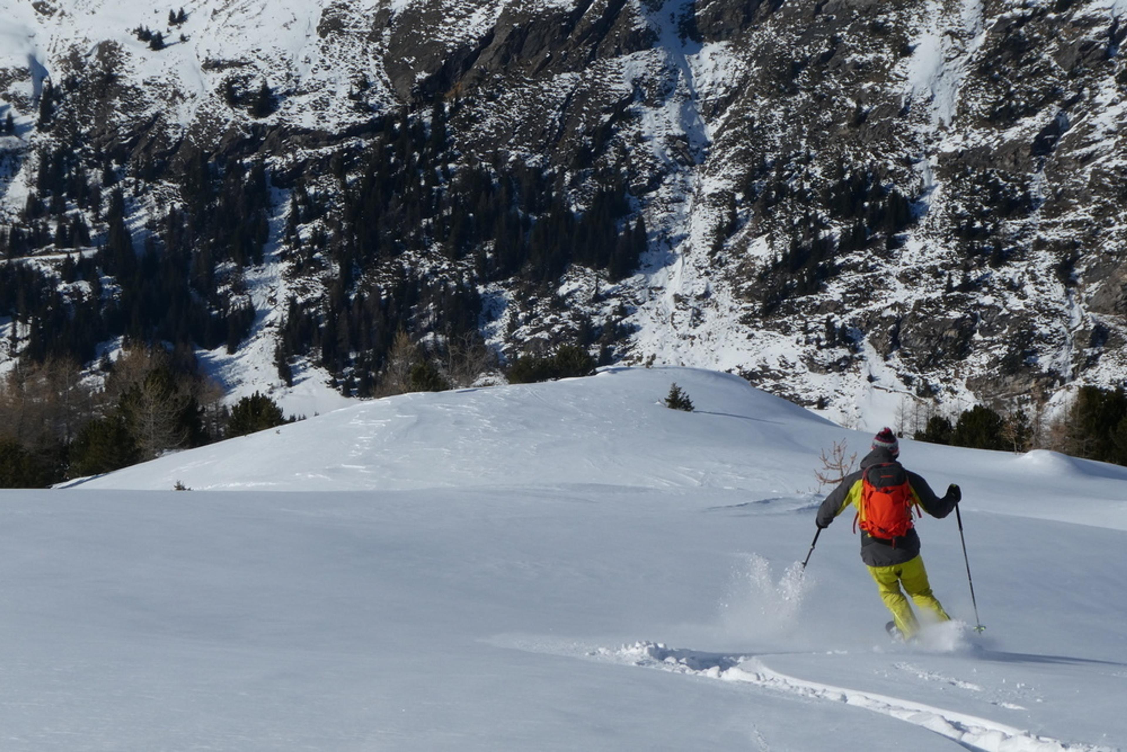 Freerando Valcenis - Tor à l'entrée du bois