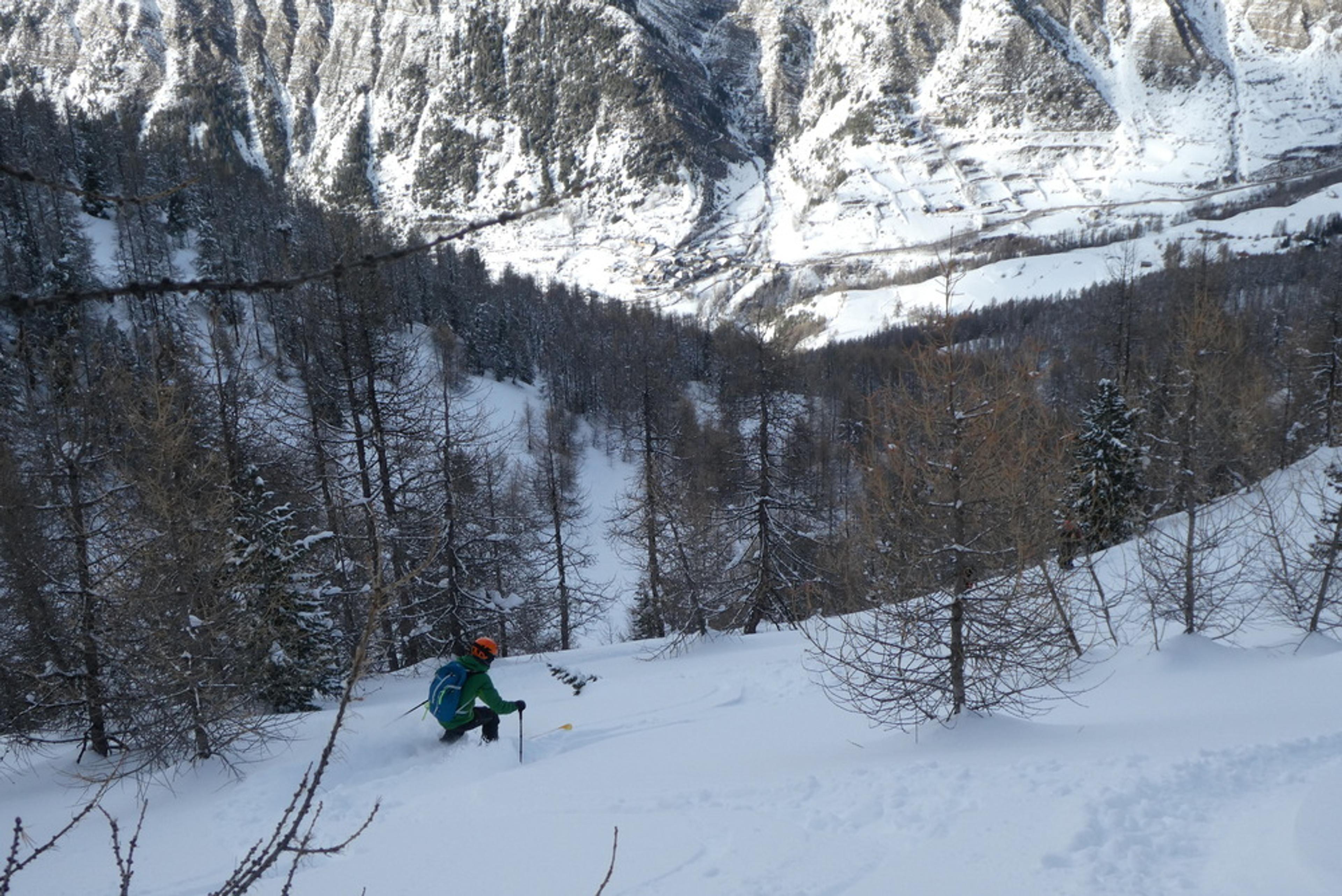 Free-rando-Crévoux - Trip forestier